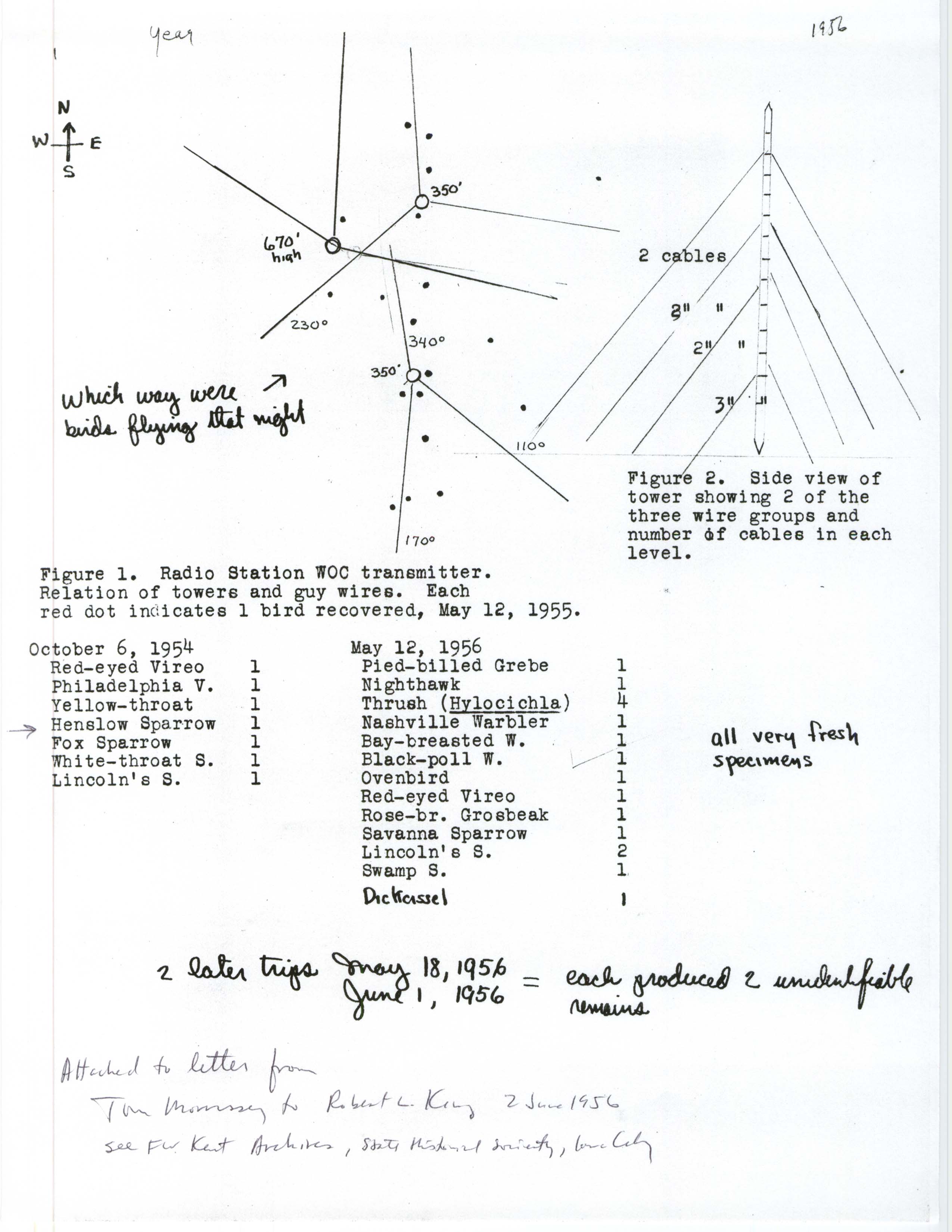 Field Notes, Tom Morrissey, Davenport, 1956