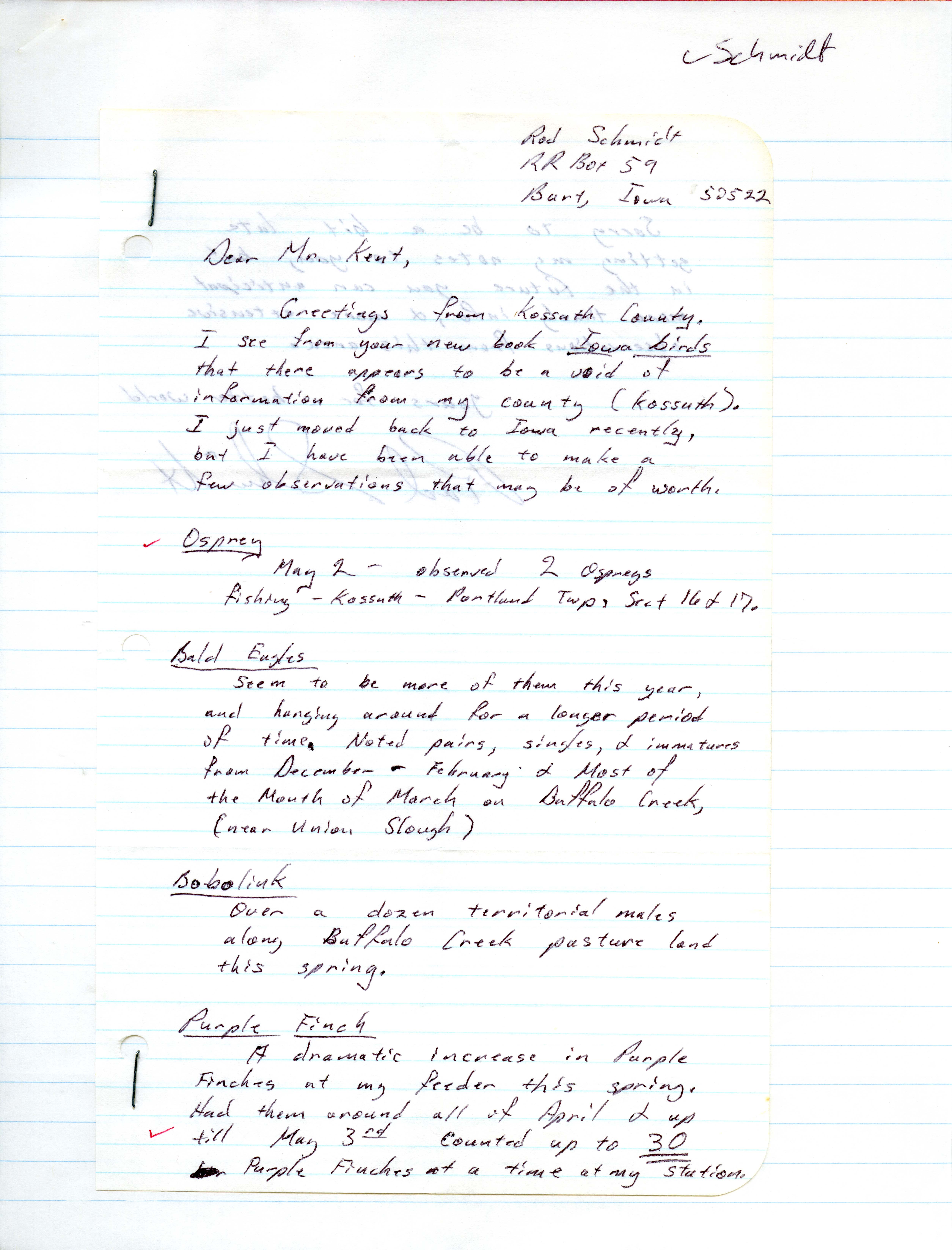 Rod Schmidt letter to Thomas H. Kent regarding Kossuth County bird sightings, spring 1984