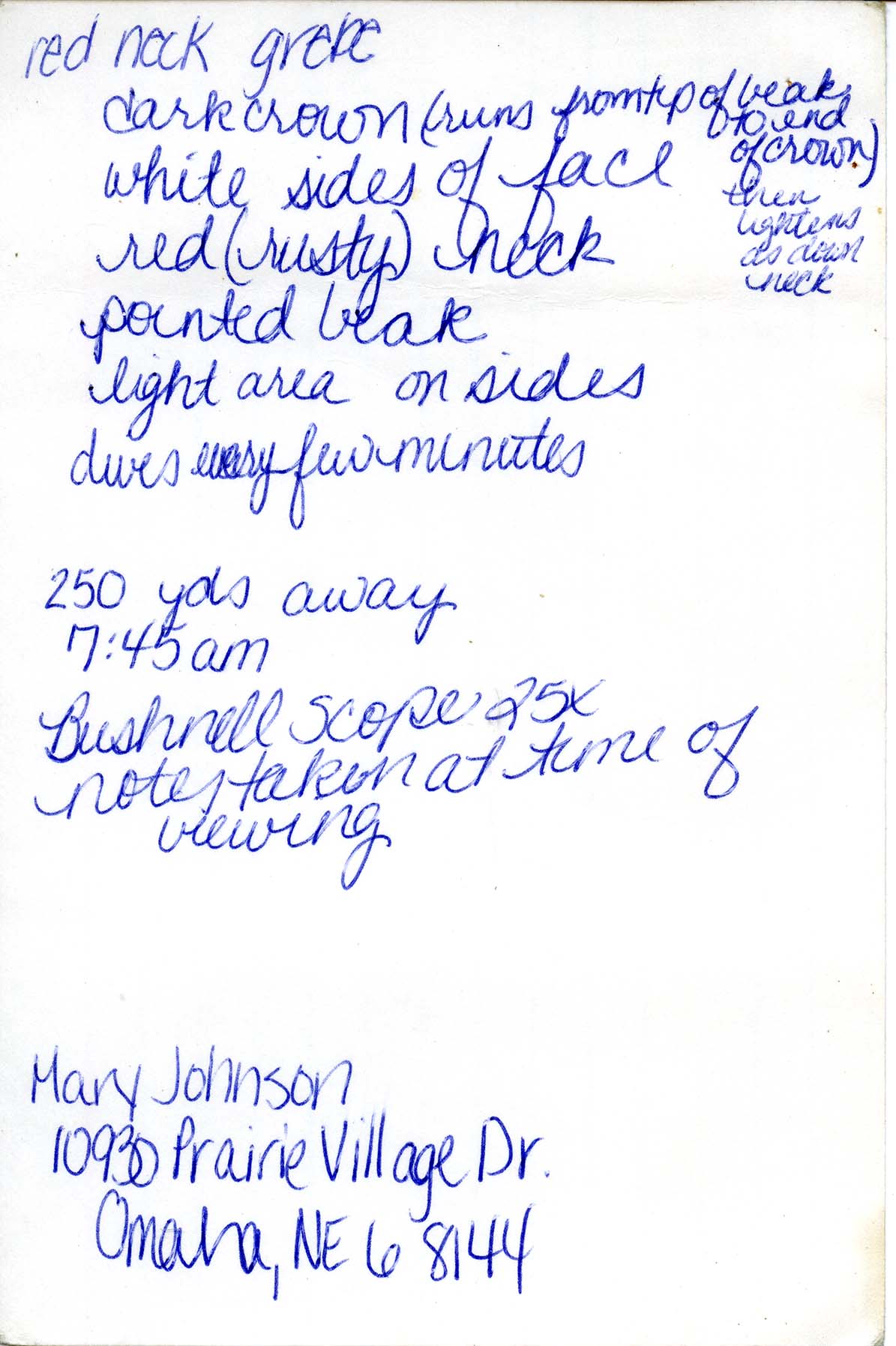 Field notes contributed by Mary Johnson, spring 1988