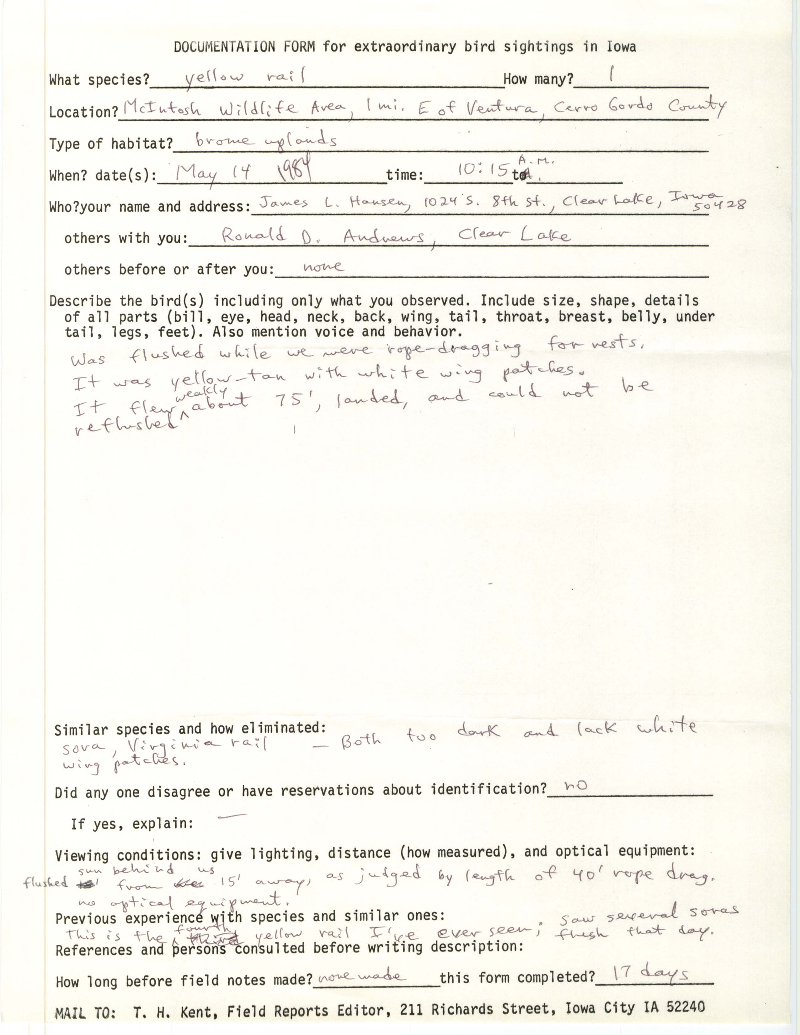 Rare bird documentation form for Yellow Rail at McIntosh Wildlife Area, 1984