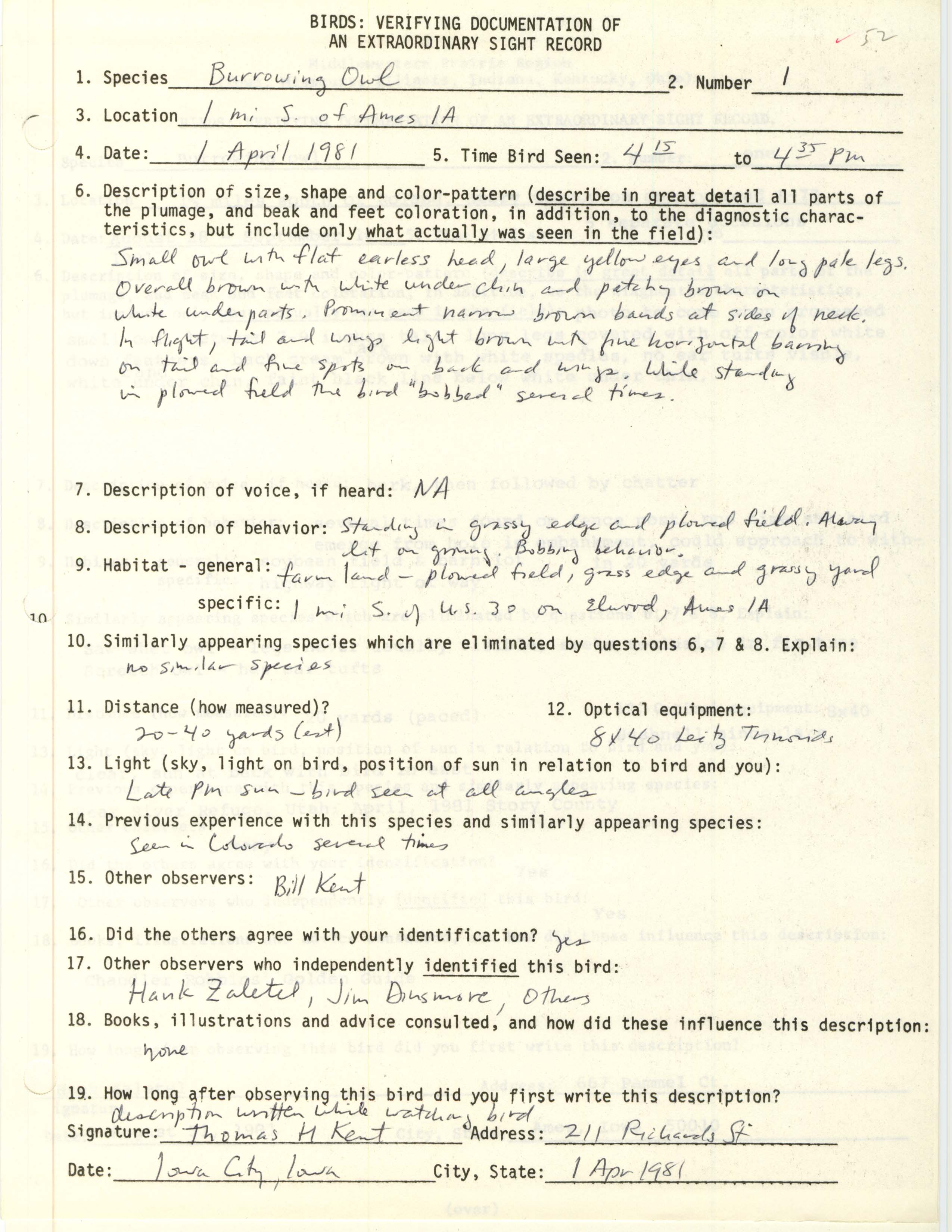 Rare bird documentation form for Burrowing Owl south of Ames, 1981