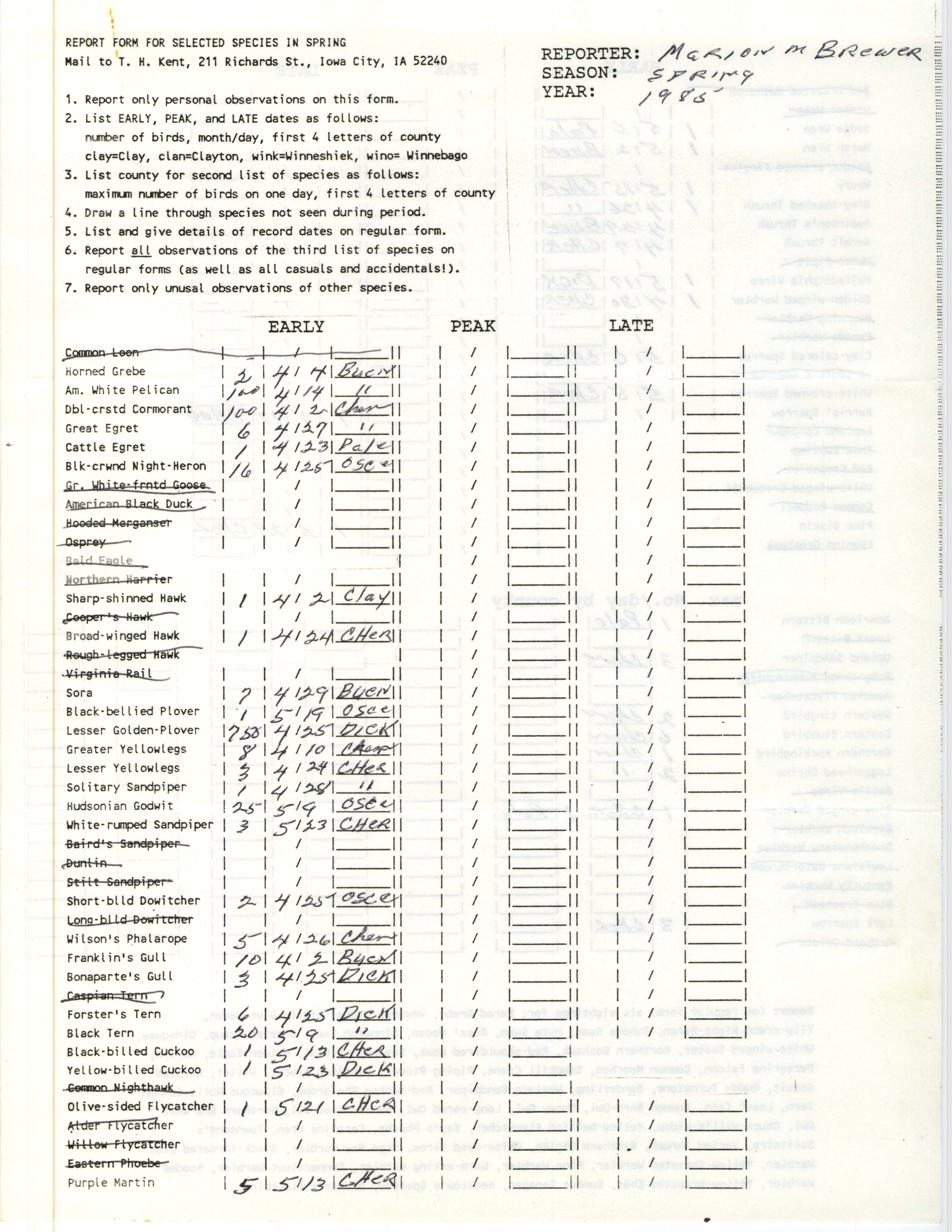 Report form for selected species in spring, contributed by Marion M. Brewer, spring 1985