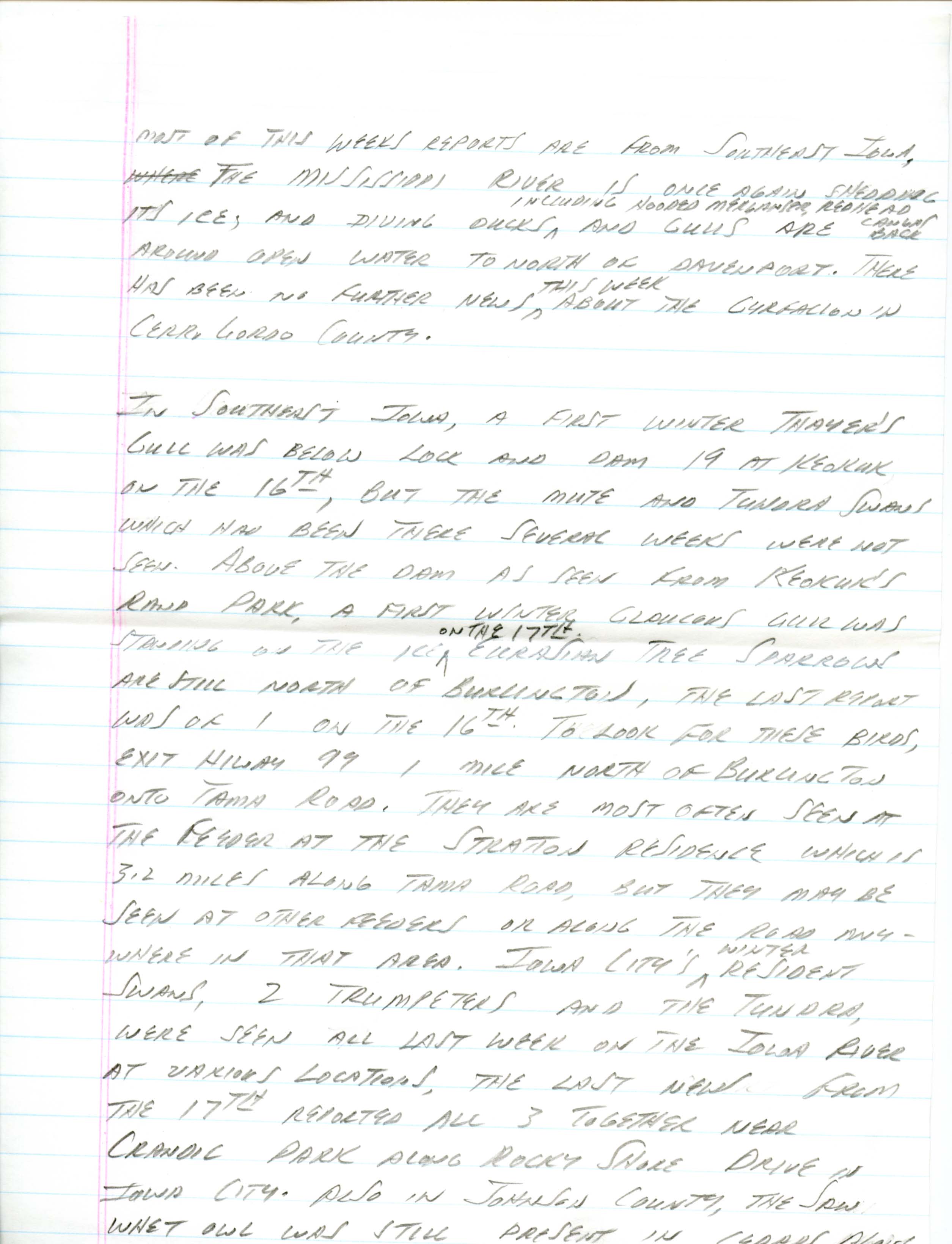 Iowa Birdline update, February 18, 1991 notes