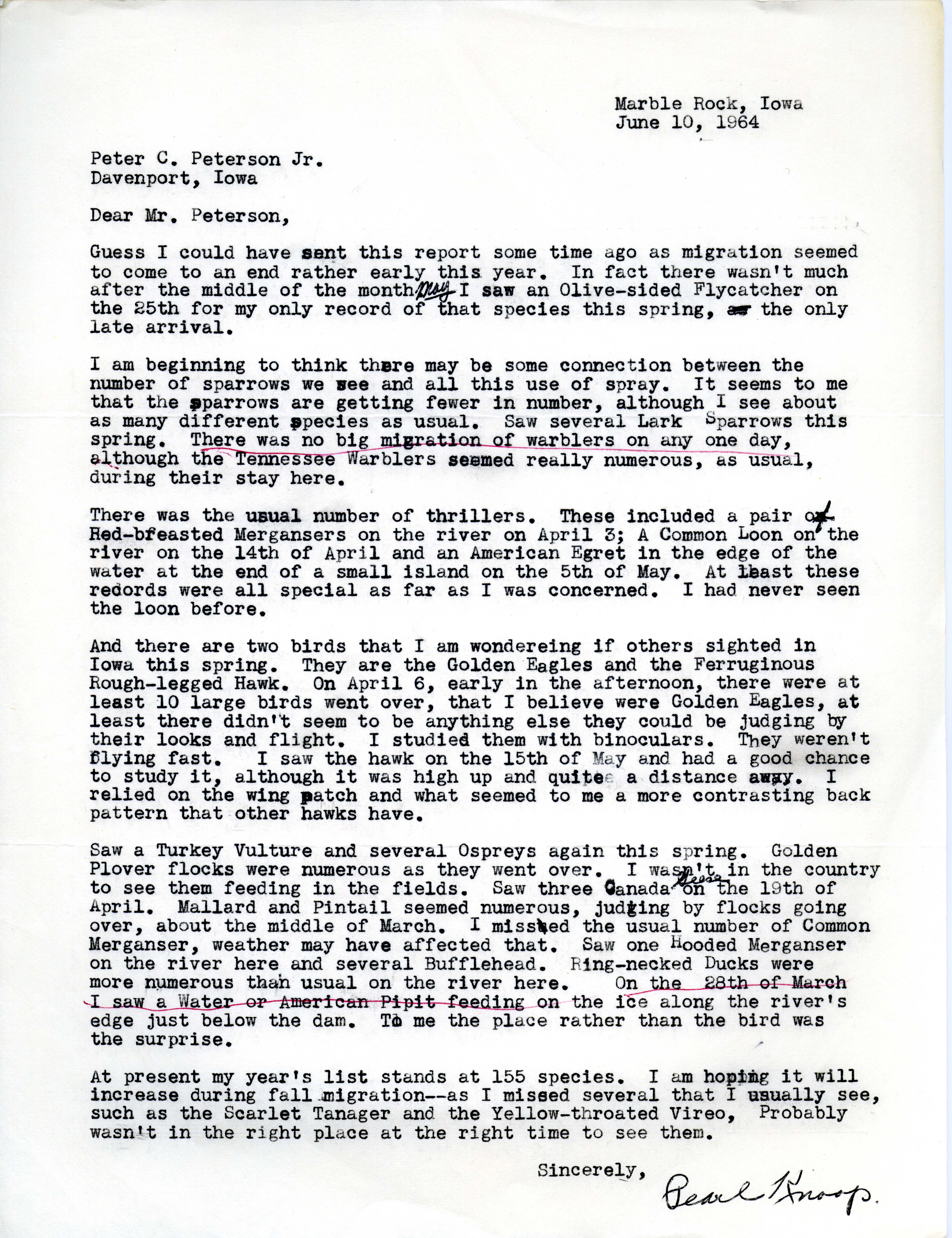 Pearl Knoop letter to Peter C. Petersen regarding bird sightings, June 10, 1964