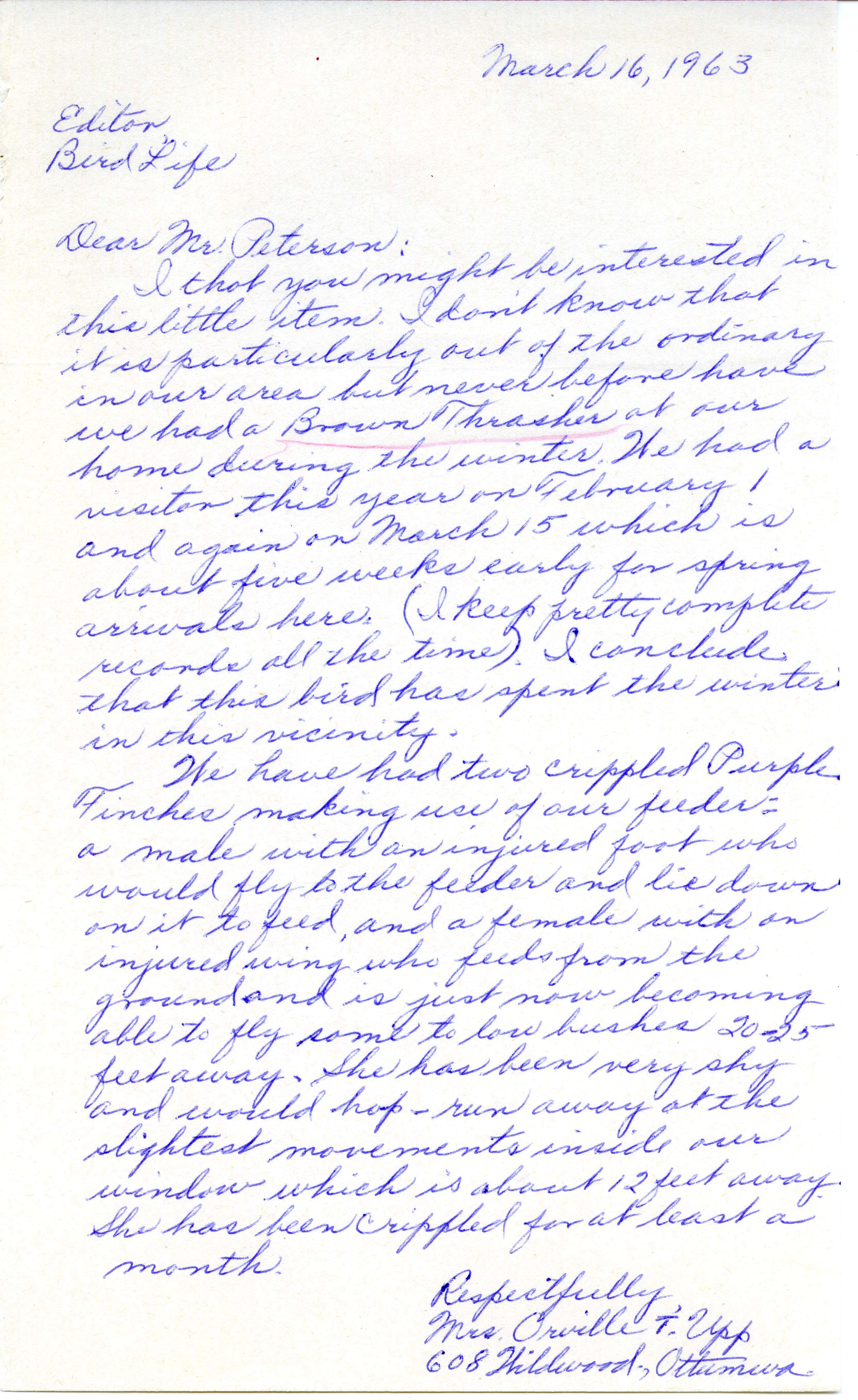 Ruth Upp letter to Peter C. Petersen regarding bird sightings, March 16, 1963