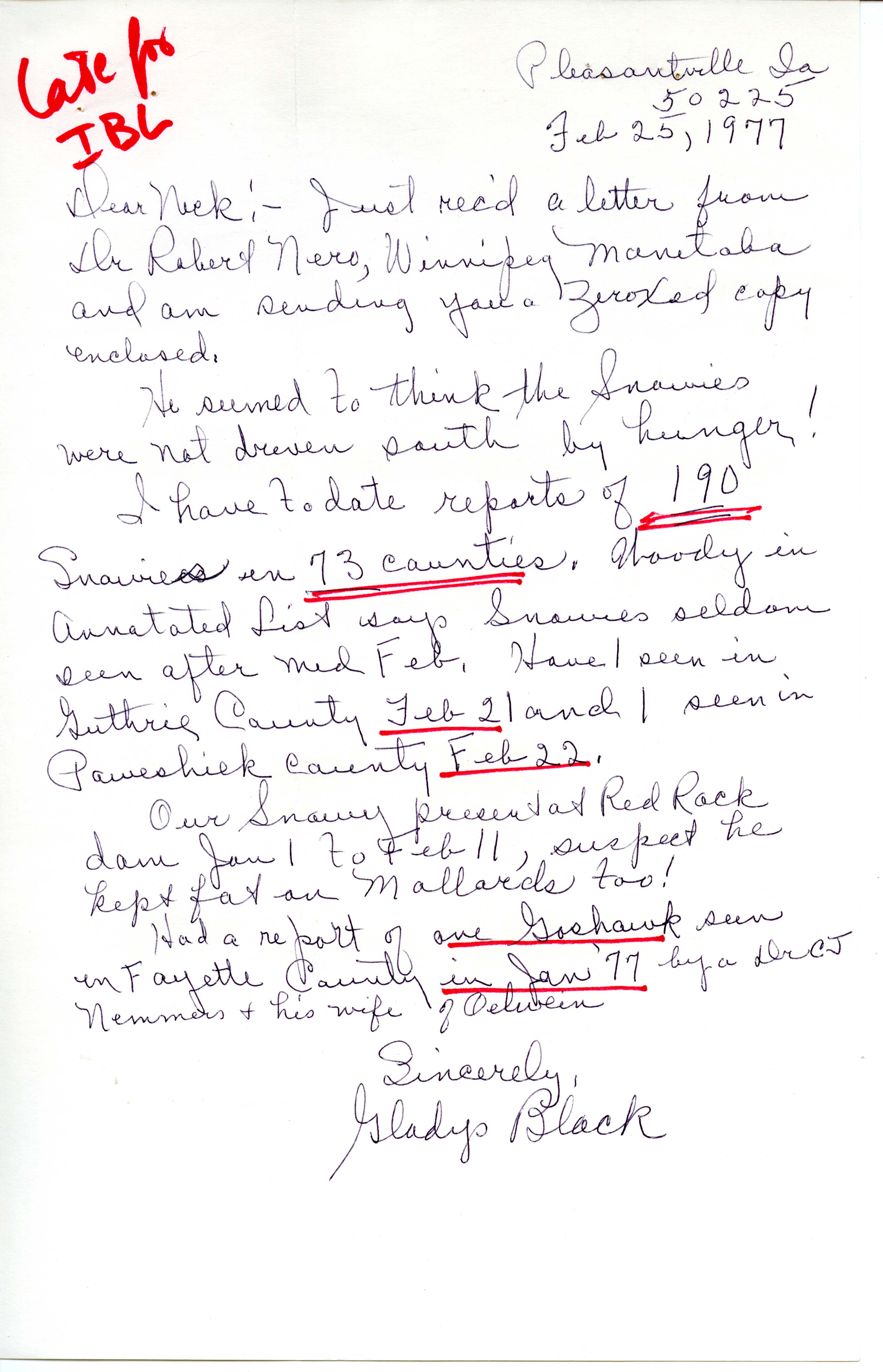 Gladys Black letter to Nicholas S. Halmi regarding sightings of Snowy Owls and a Goshawk, February 25, 1977 
