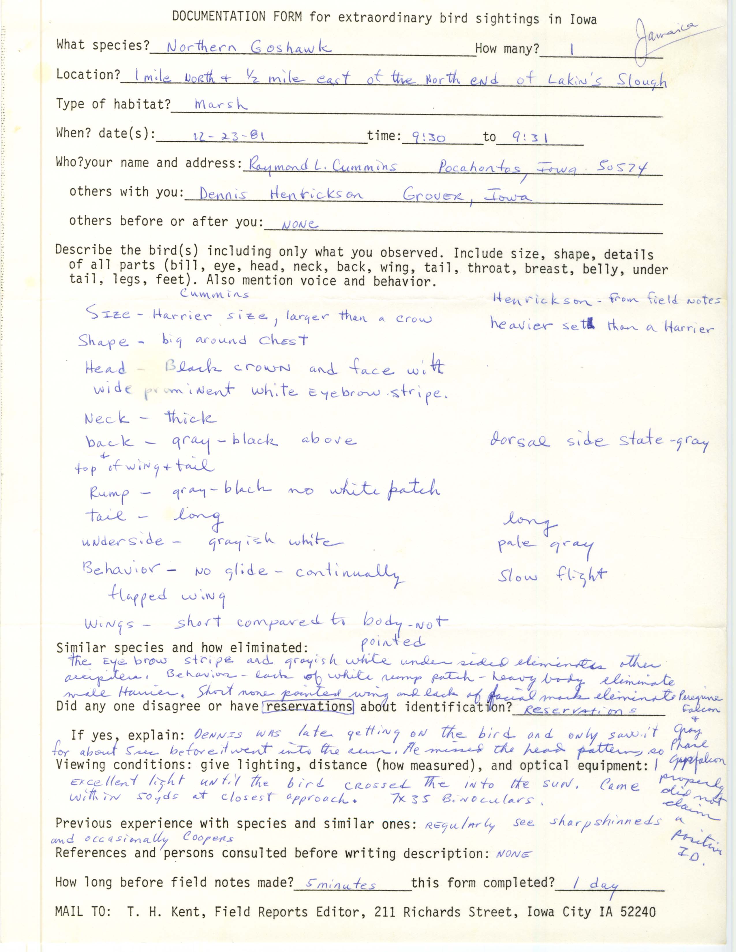 Rare bird documentation form for Northern Goshawk at Lakin's Slough, 1981