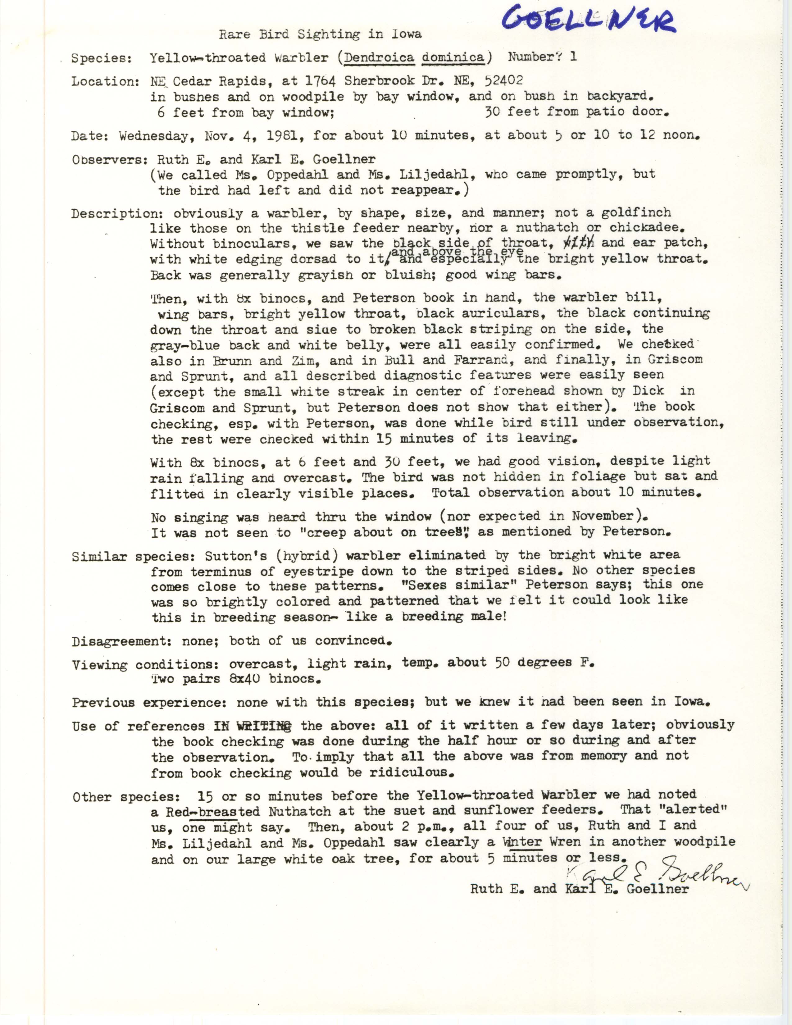 Rare bird documentation form for Yellow-throated Warbler at Cedar Rapids, 1981