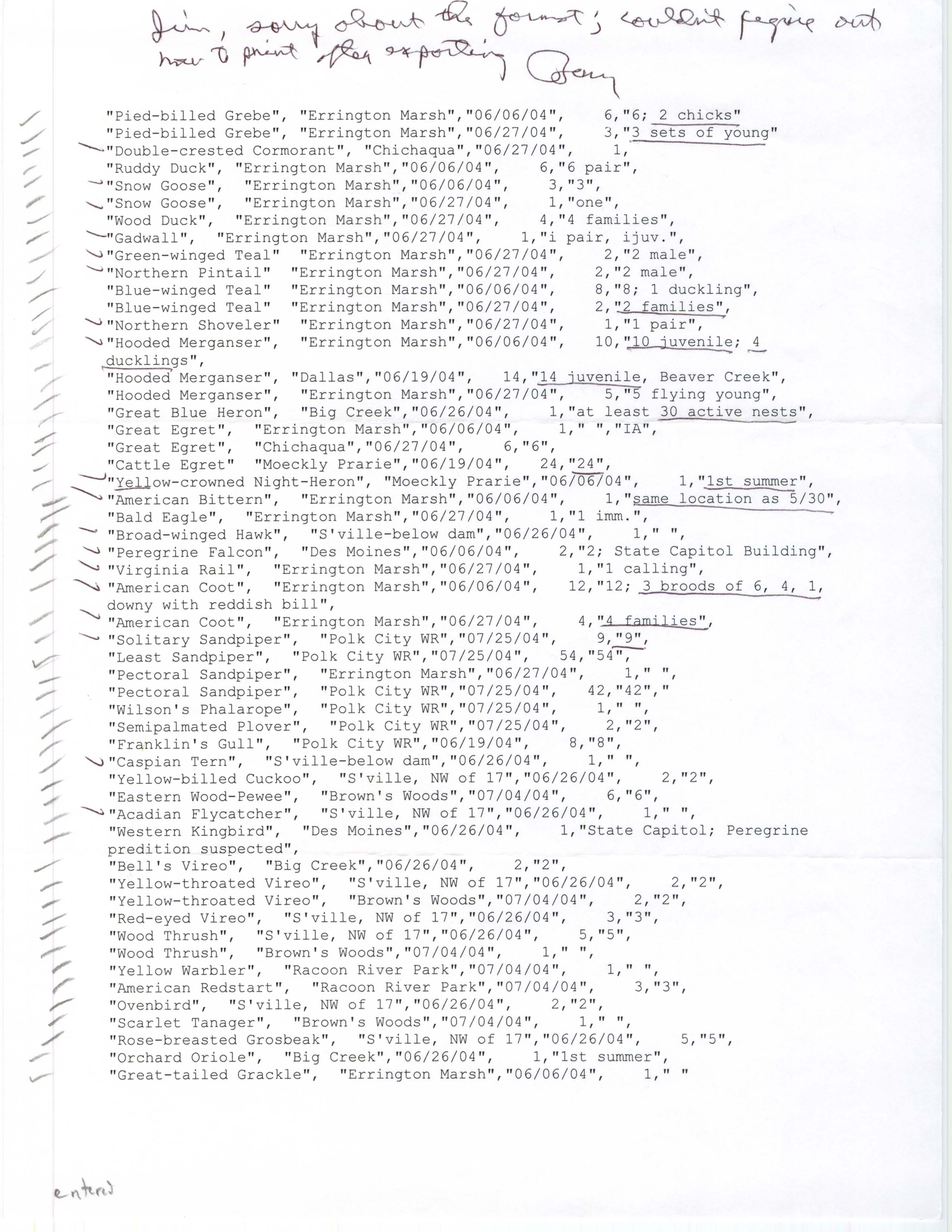 Field notes contributed by Bery Engebretsen, summer 2004