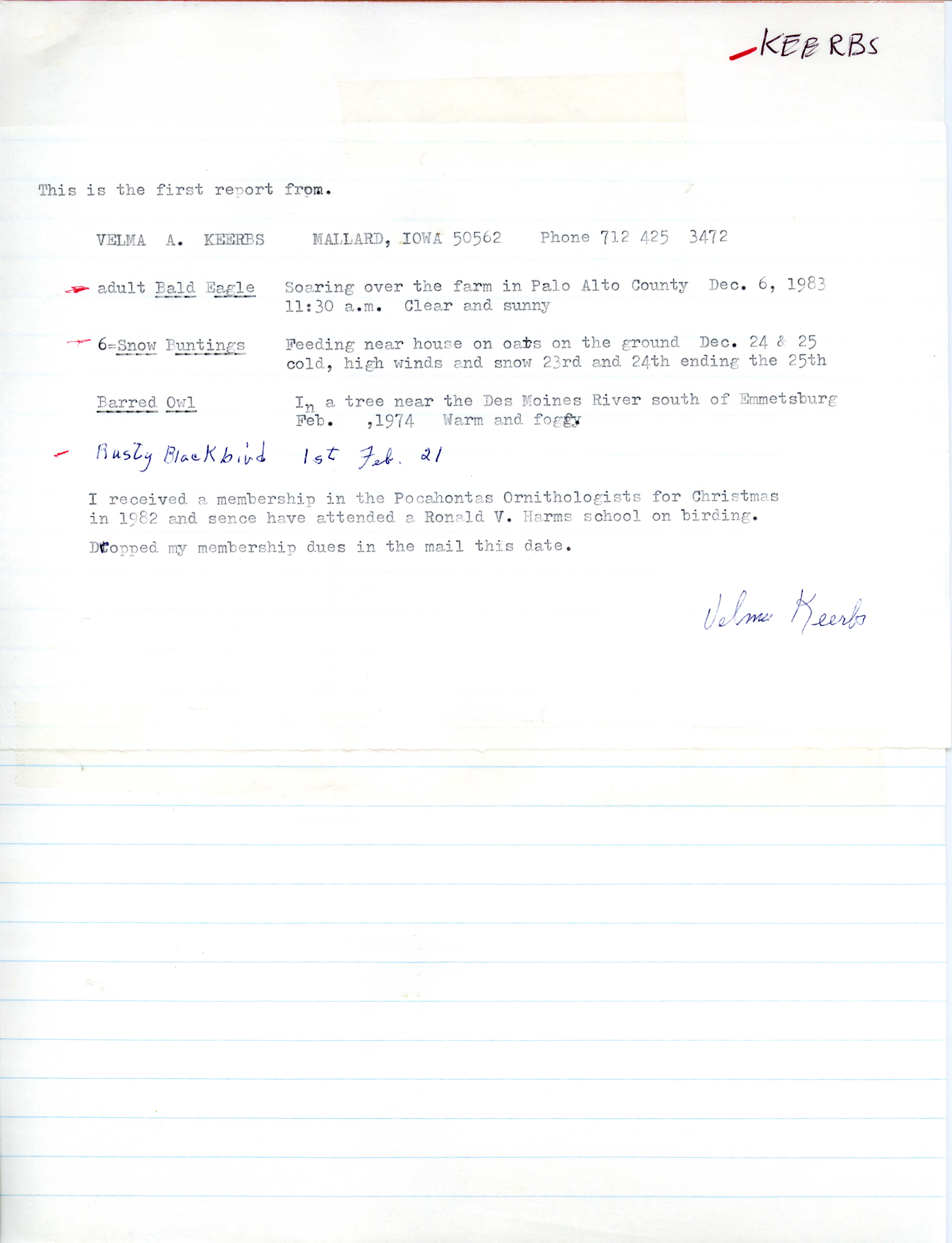 Field notes contributed by Velma A. Keerbs, Mallard, Iowa, winter 1983-1984