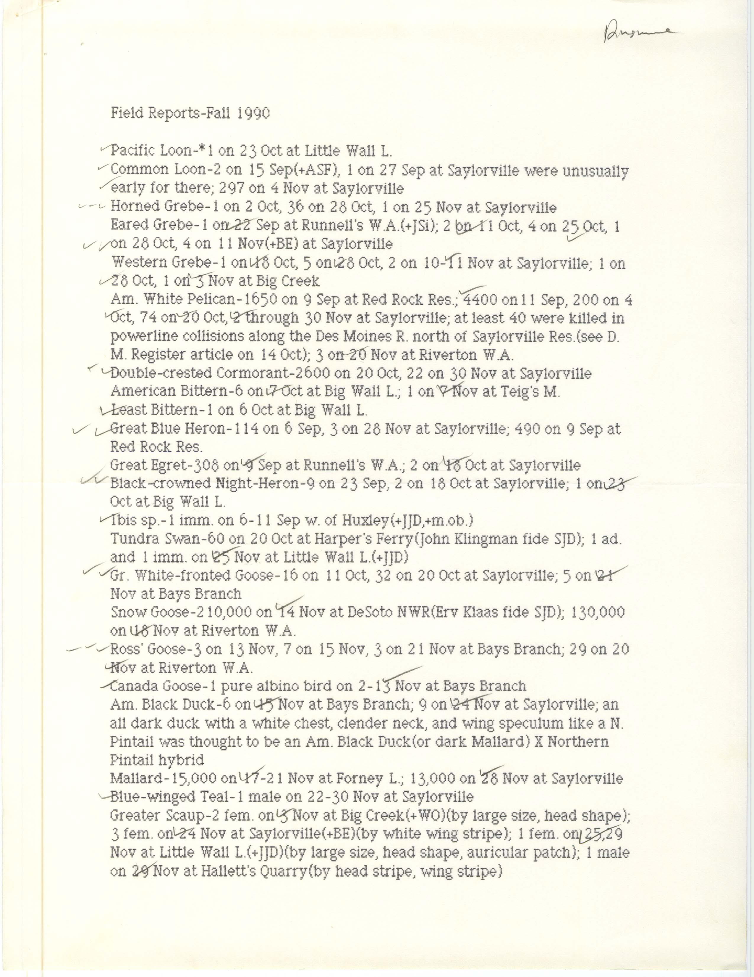 Field reports, Steve Dinsmore, fall 1990