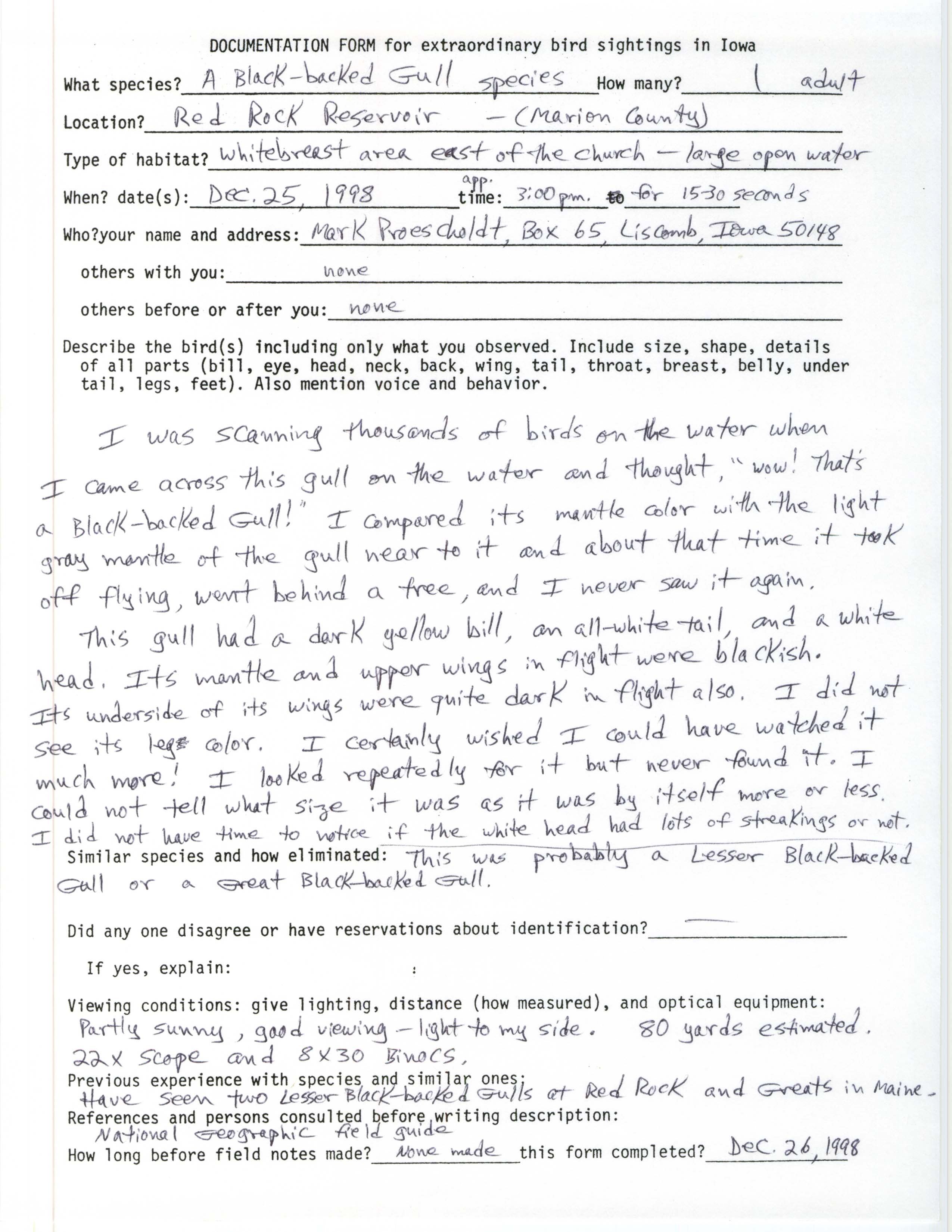Rare bird documentation form for Black-backed Gull species at Red Rock Reservoir, 1998