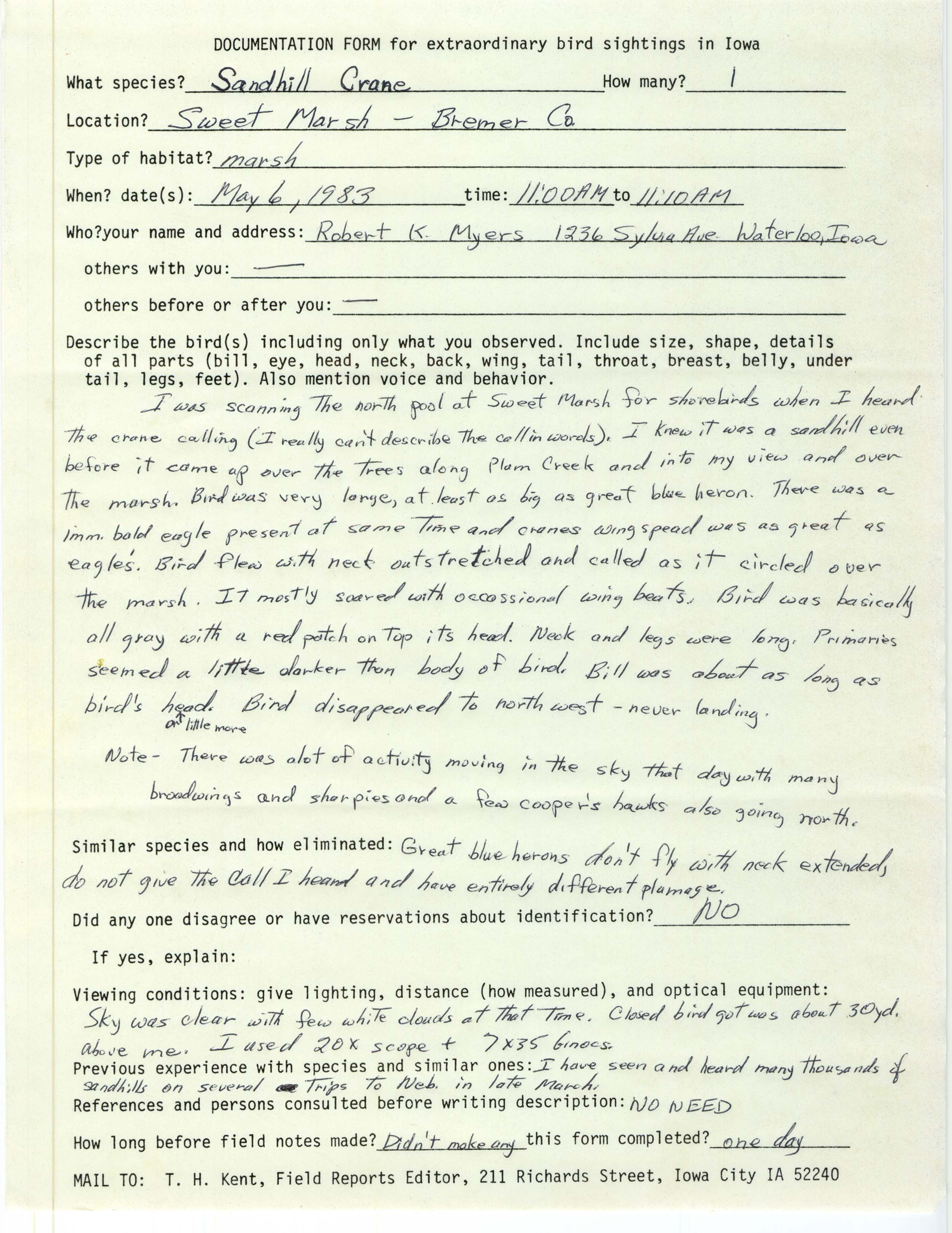Rare bird documentation form for Sandhill Crane at Sweet Marsh, 1983
