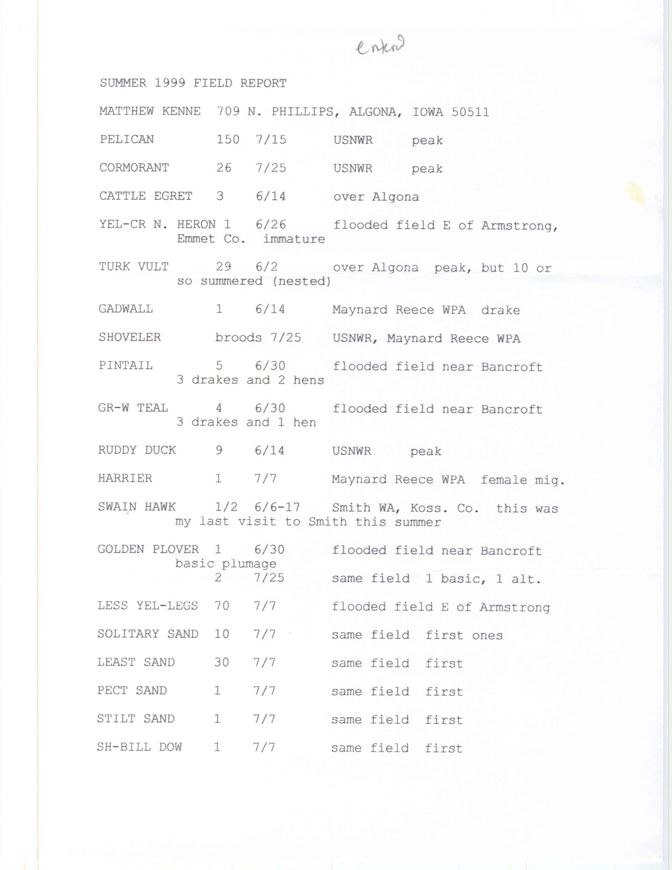 Summer 1999 field report, Matthew Kenne