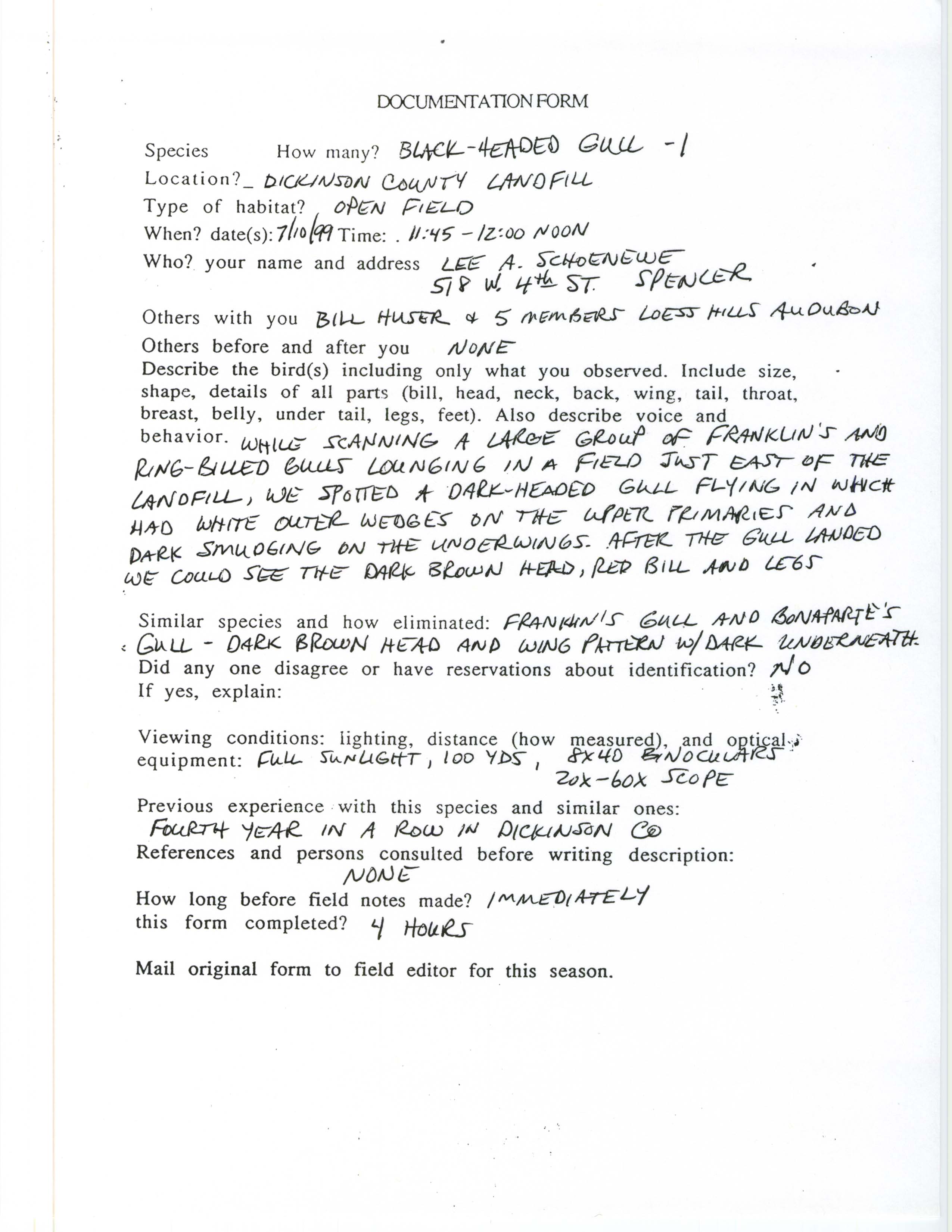 Documentation form, Black-headed Gull, July 10, 1999, Lee Schoenewe