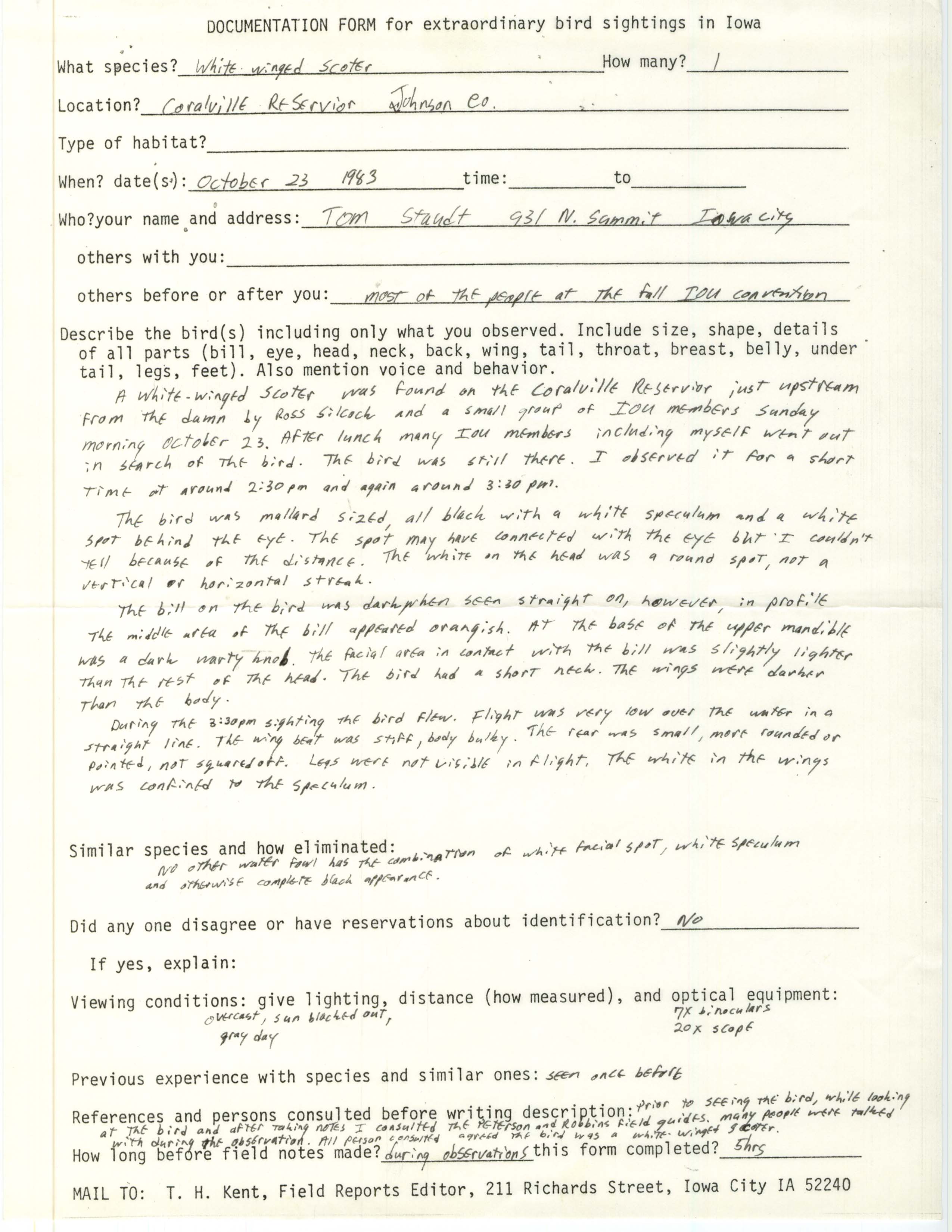 Rare bird documentation form for White-winged Scoter at Coralville Reservoir, 1983