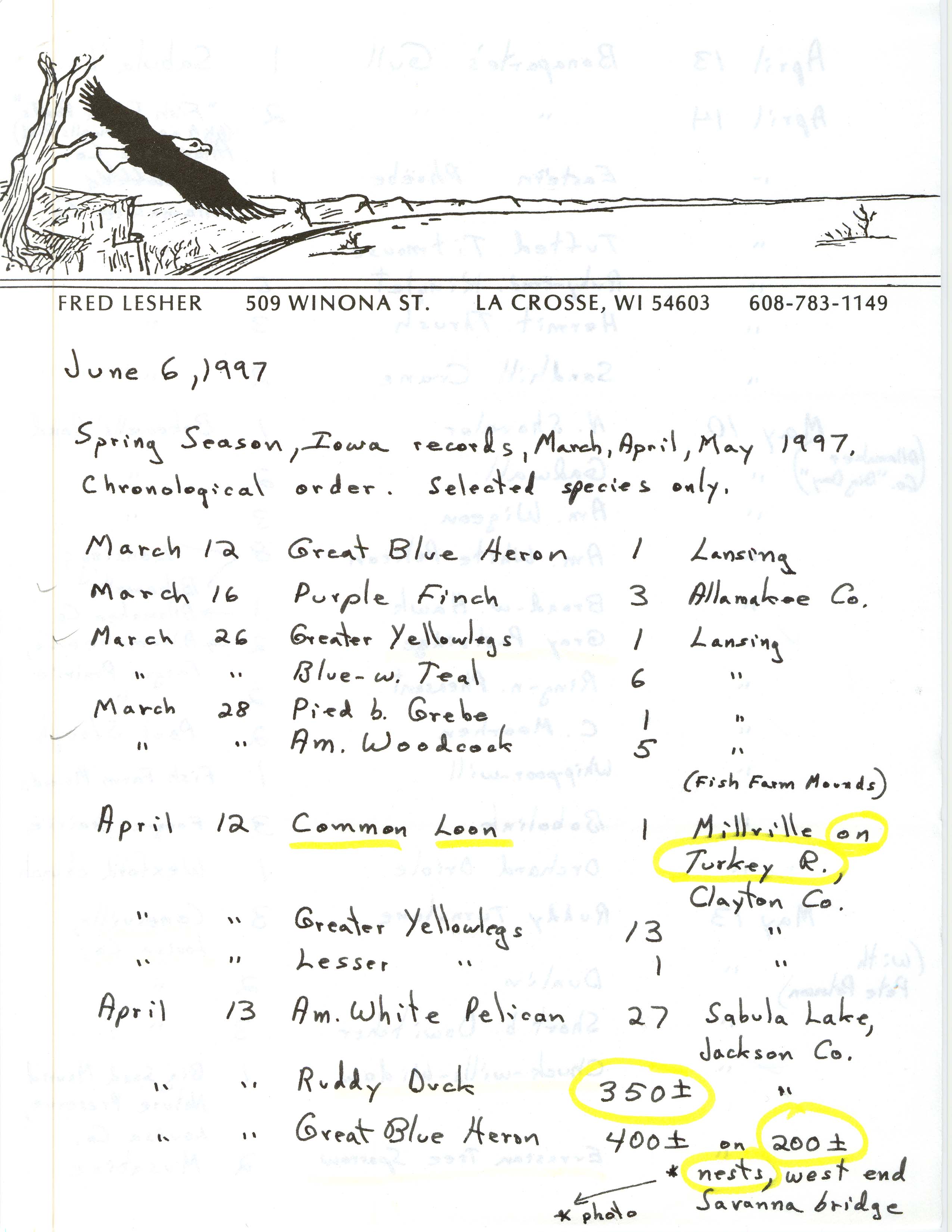 Field notes contributed by Fred Lesher, June 6, 1997