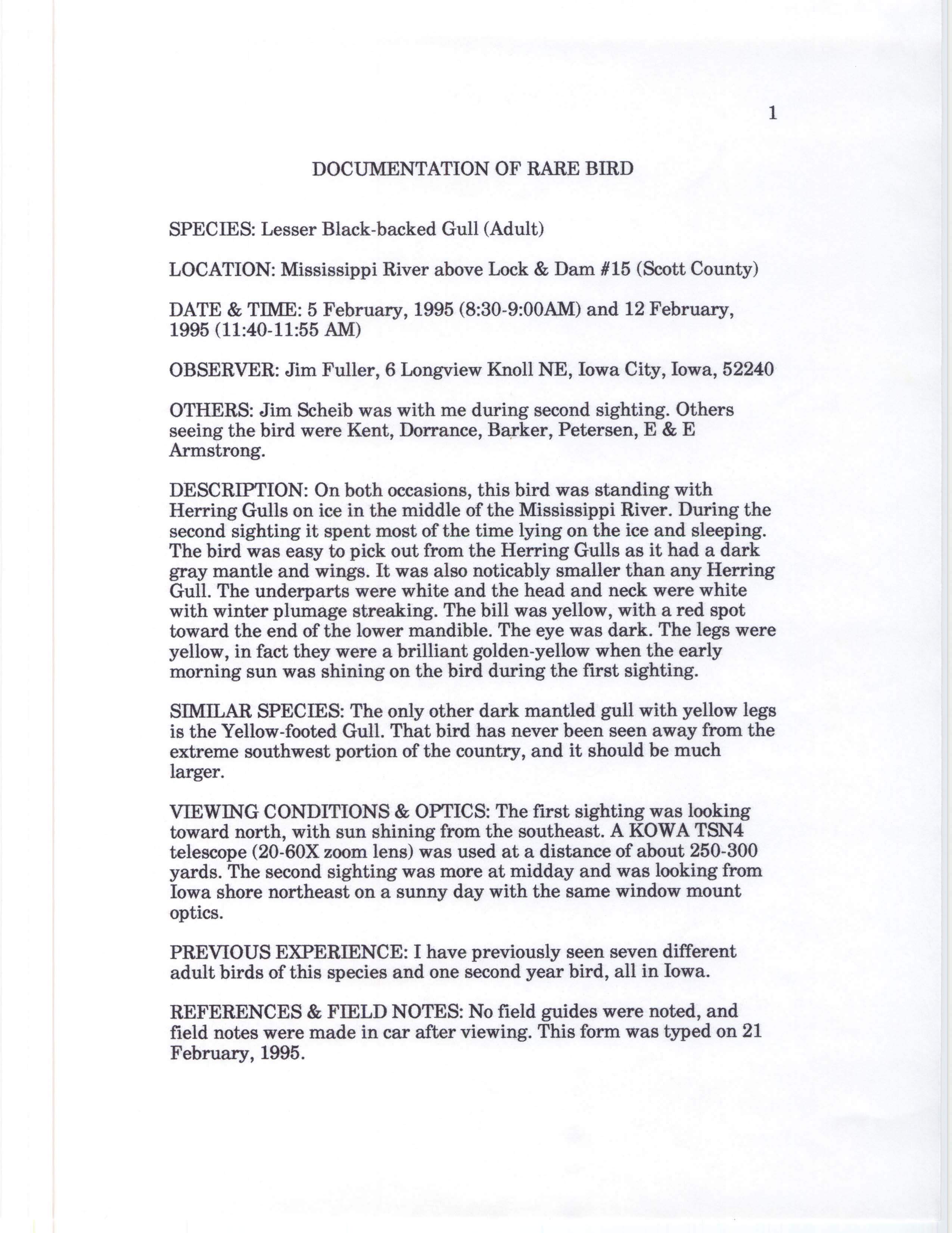 Rare bird documentation form for Lesser Black-backed Gull at Lock and Dam 15, 1995
