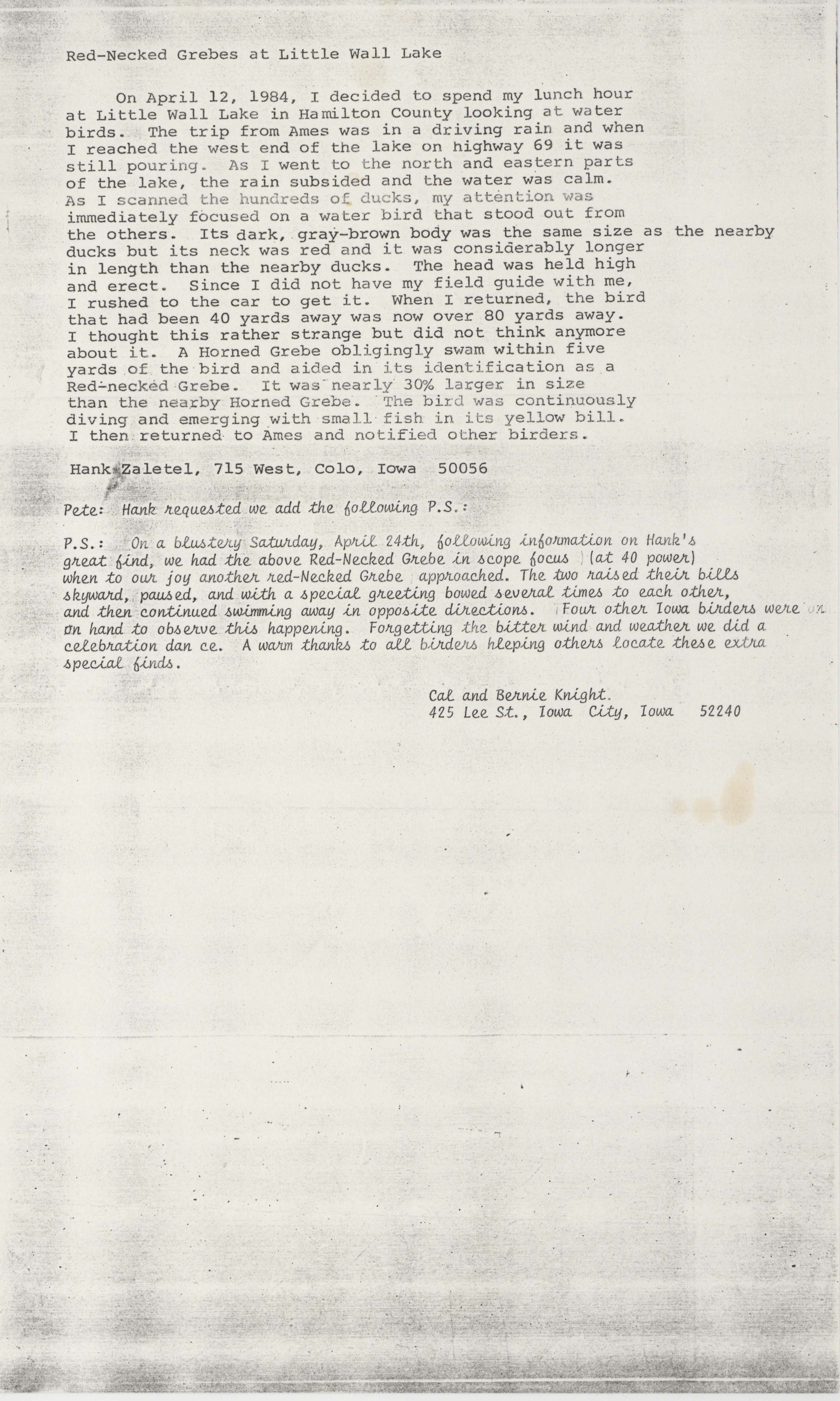 Hank Zaletel letter regarding Red-necked Grebes at Little Wall Lake