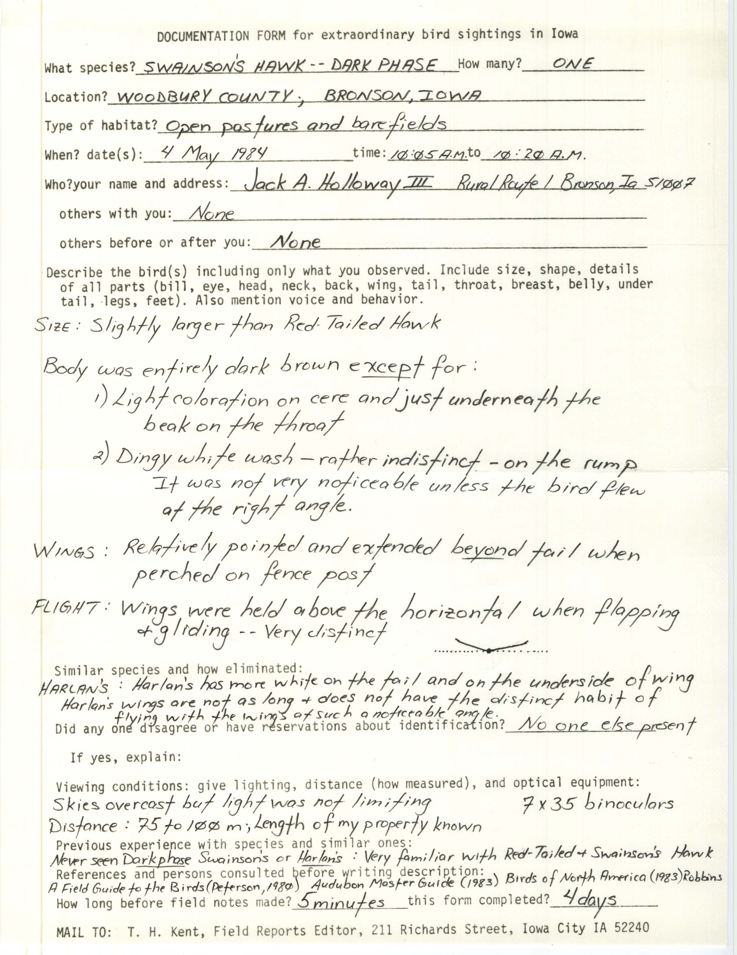 Rare bird documentation form for Swainson's Hawk at Bronson, 1984