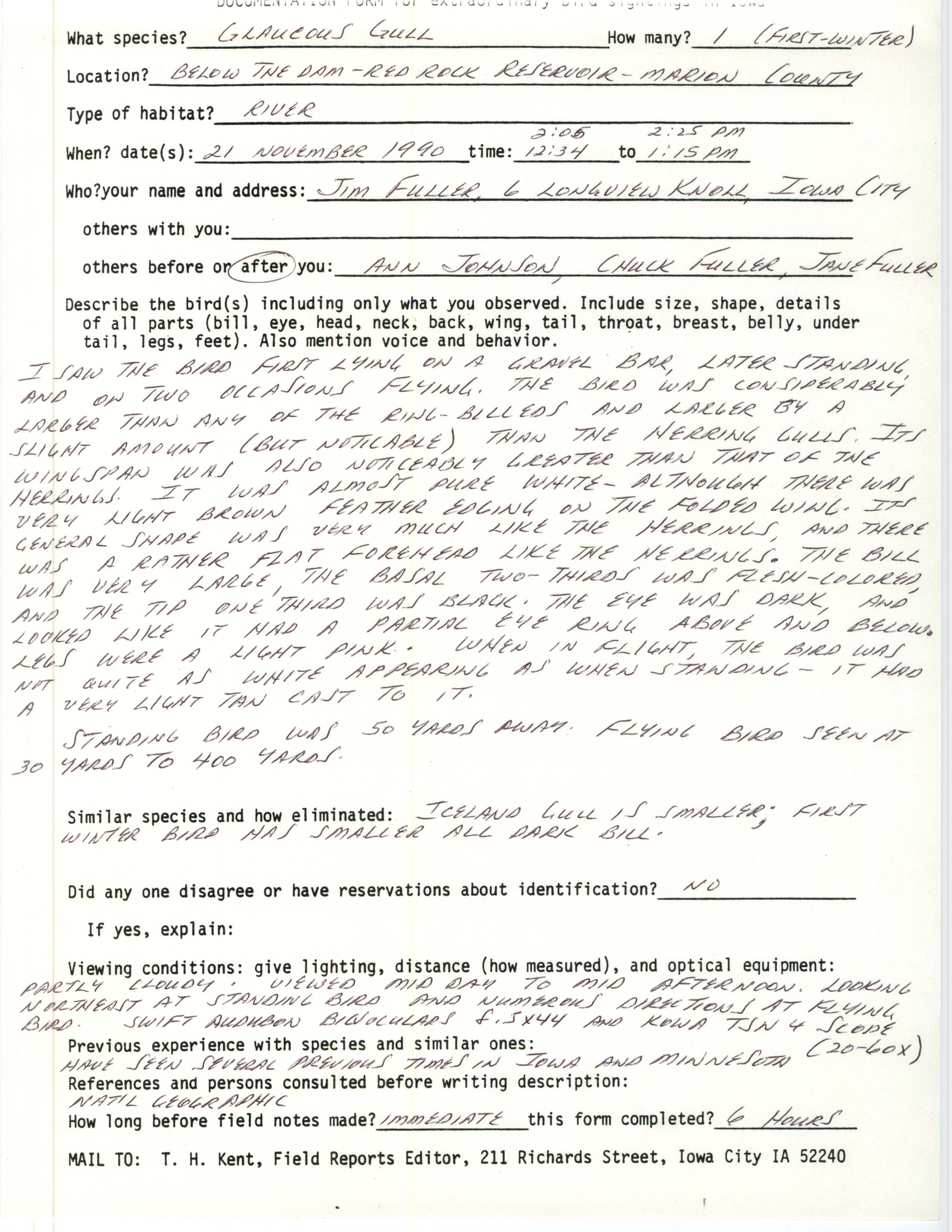 Rare bird documentation form for Glaucous Gull at Red Rock Dam, 1990