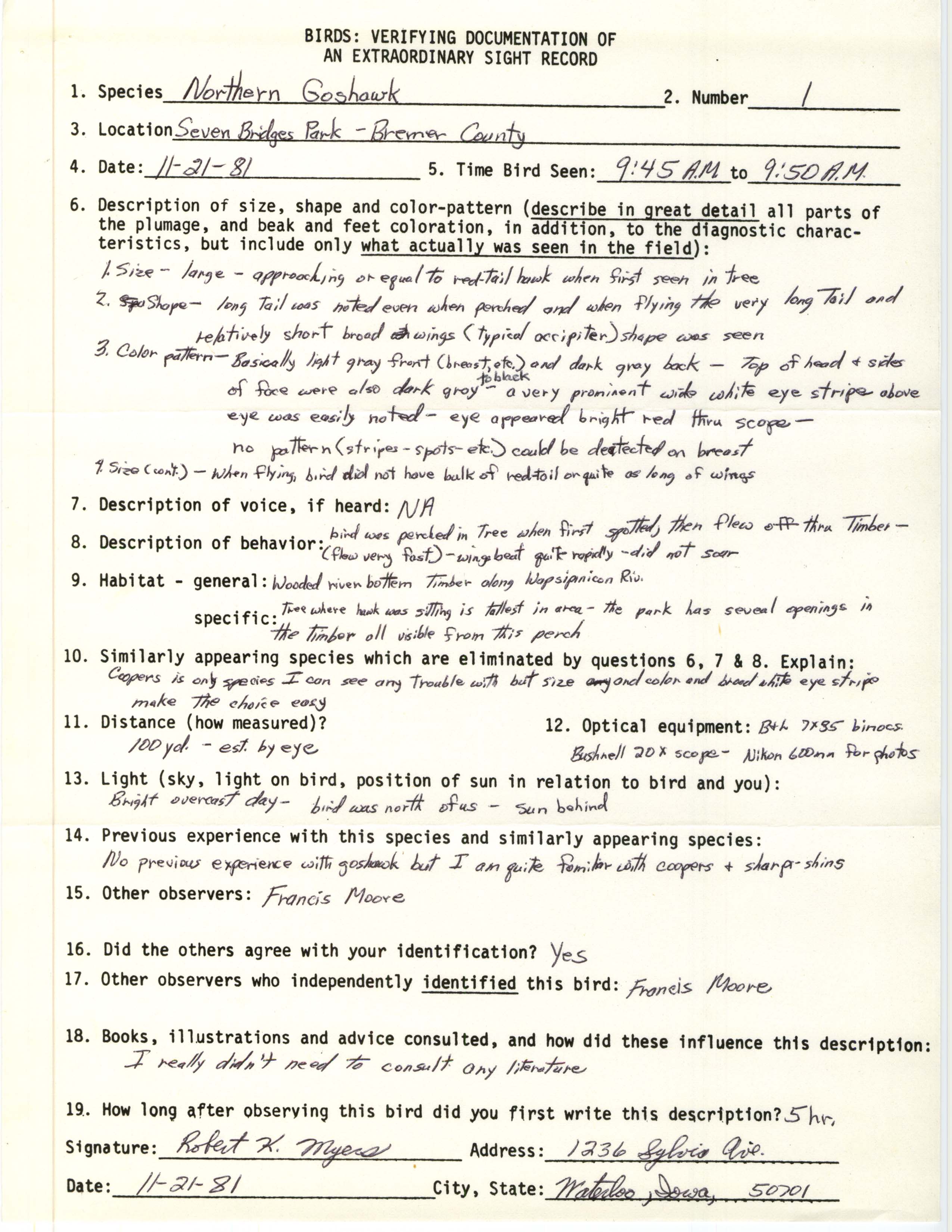Rare bird documentation form for Northern Goshawk at Seven Bridges Park, 1981