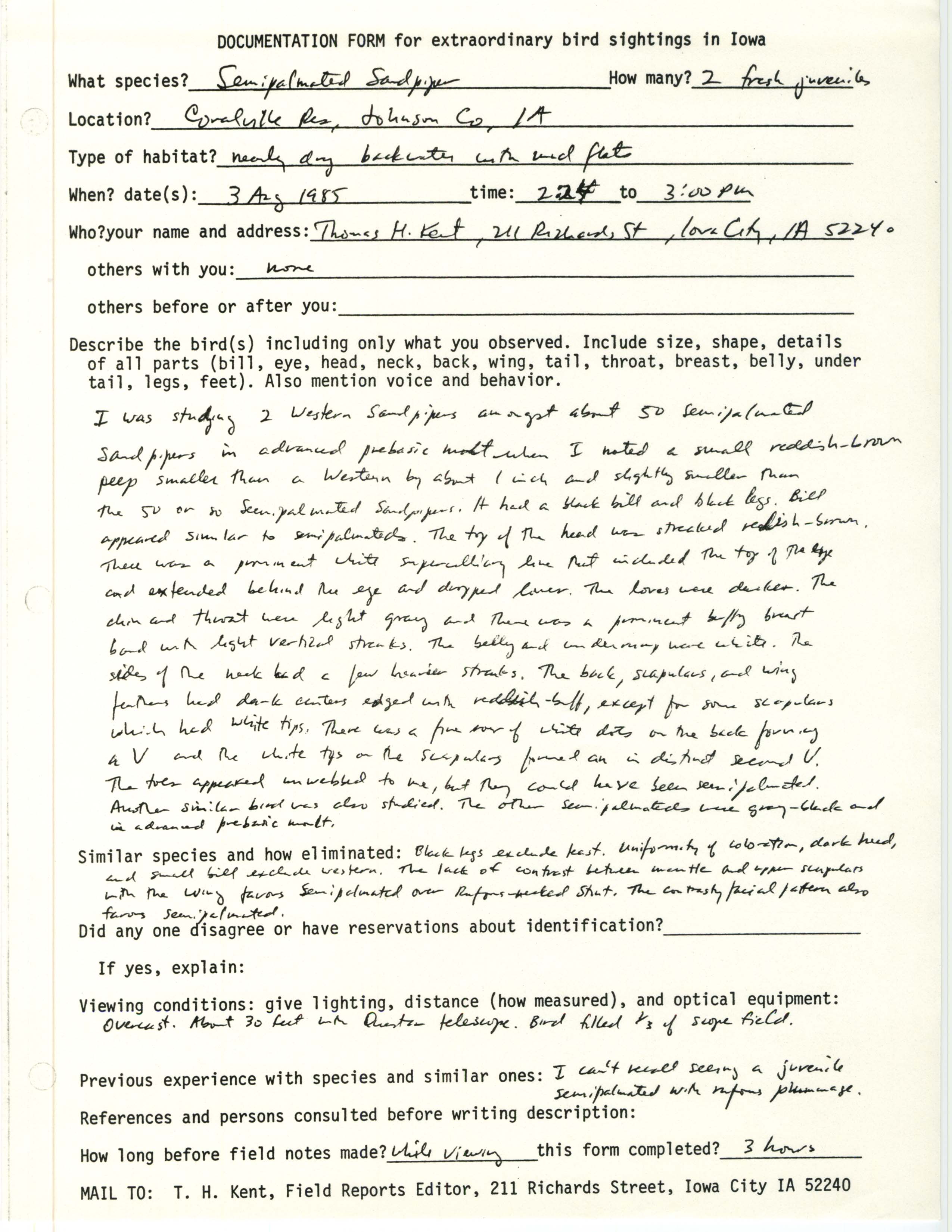 Rare bird documentation form for Semipalmated Sandpiper at Coralville Reservoir, 1985