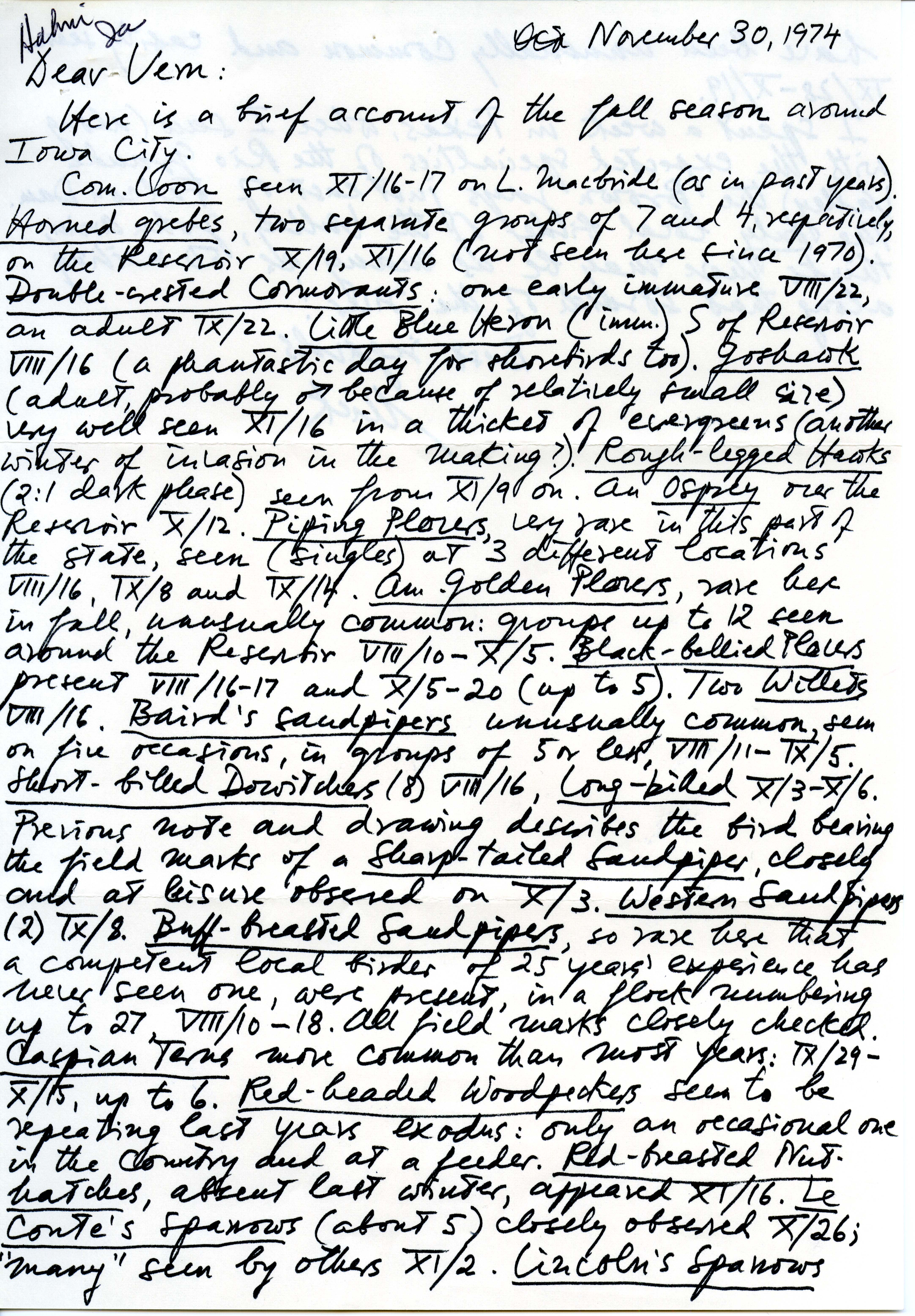 Nicholas S. Halmi letter to Vernon M. Kleen regarding birds sighted around Iowa City during fall 1974, November 30, 1974