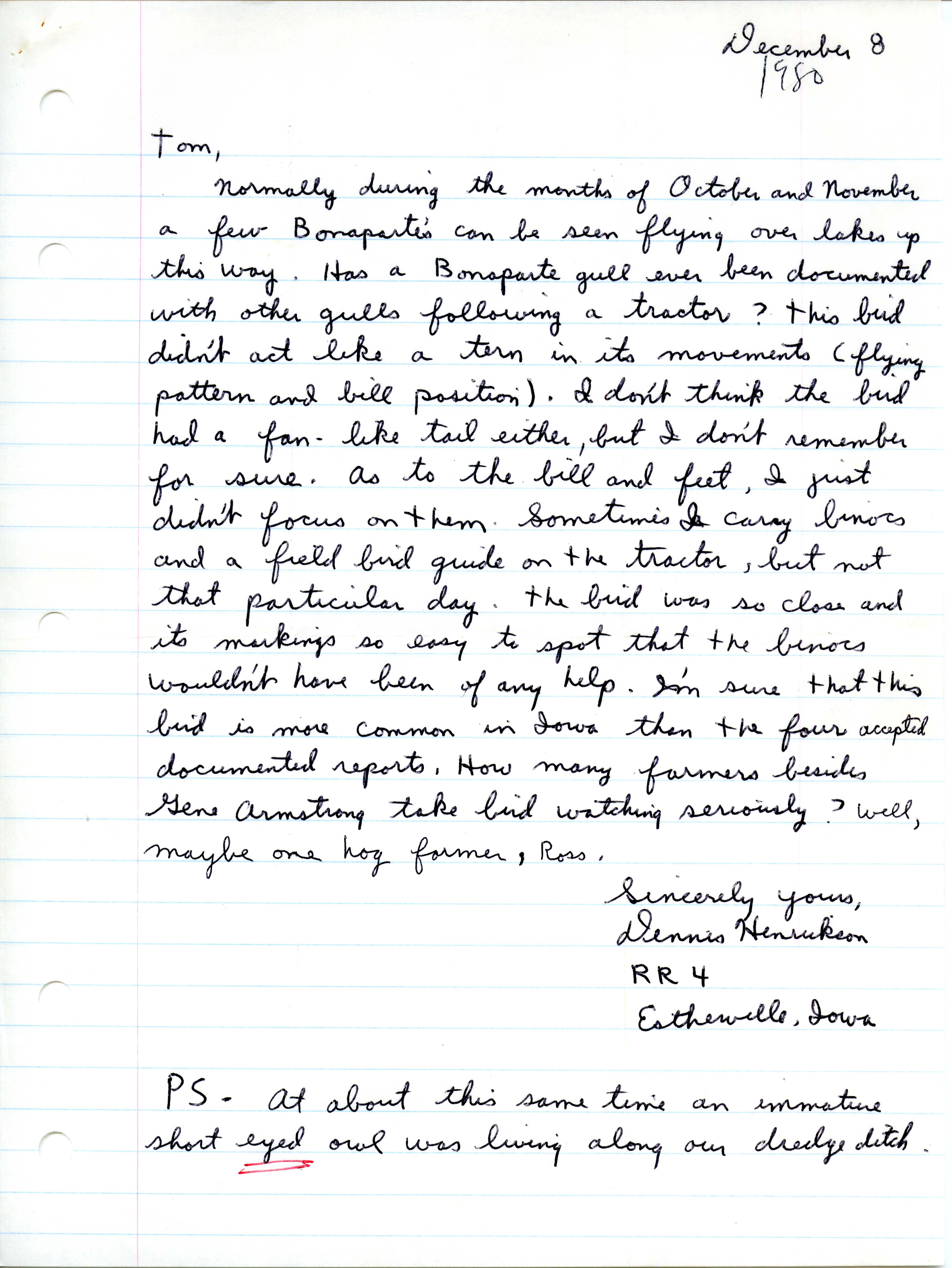 Dennis Henrickson letter to Thomas Kent regarding Bonaparte's Gull sightings, December 8, 1980