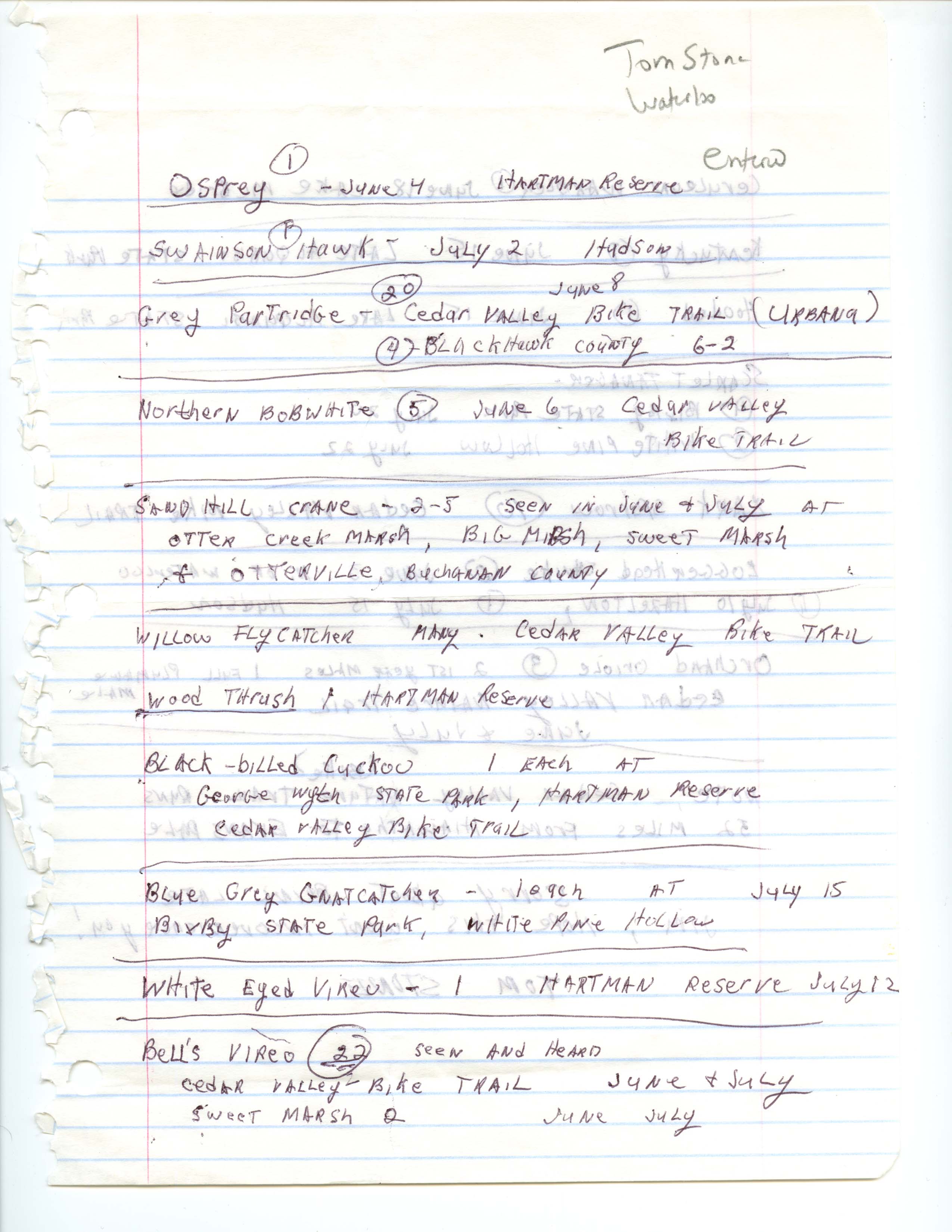 Field notes contributed by Tom Stone, summer 2002