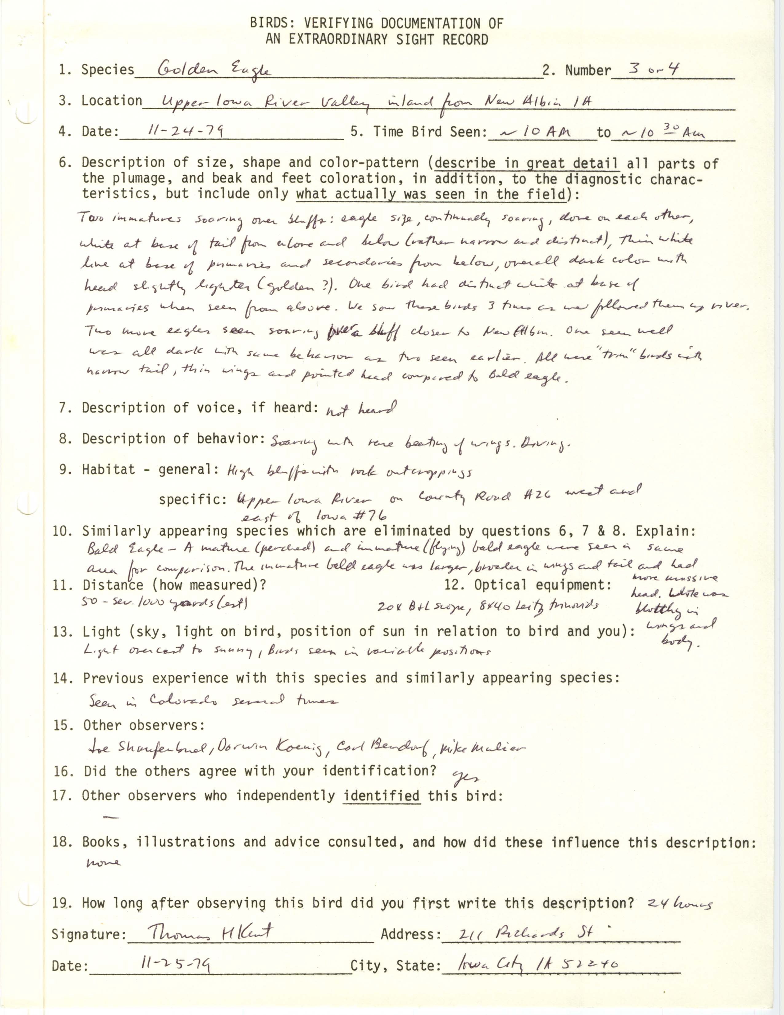 Rare bird documentation form for Golden Eagle at New Albin, 1979