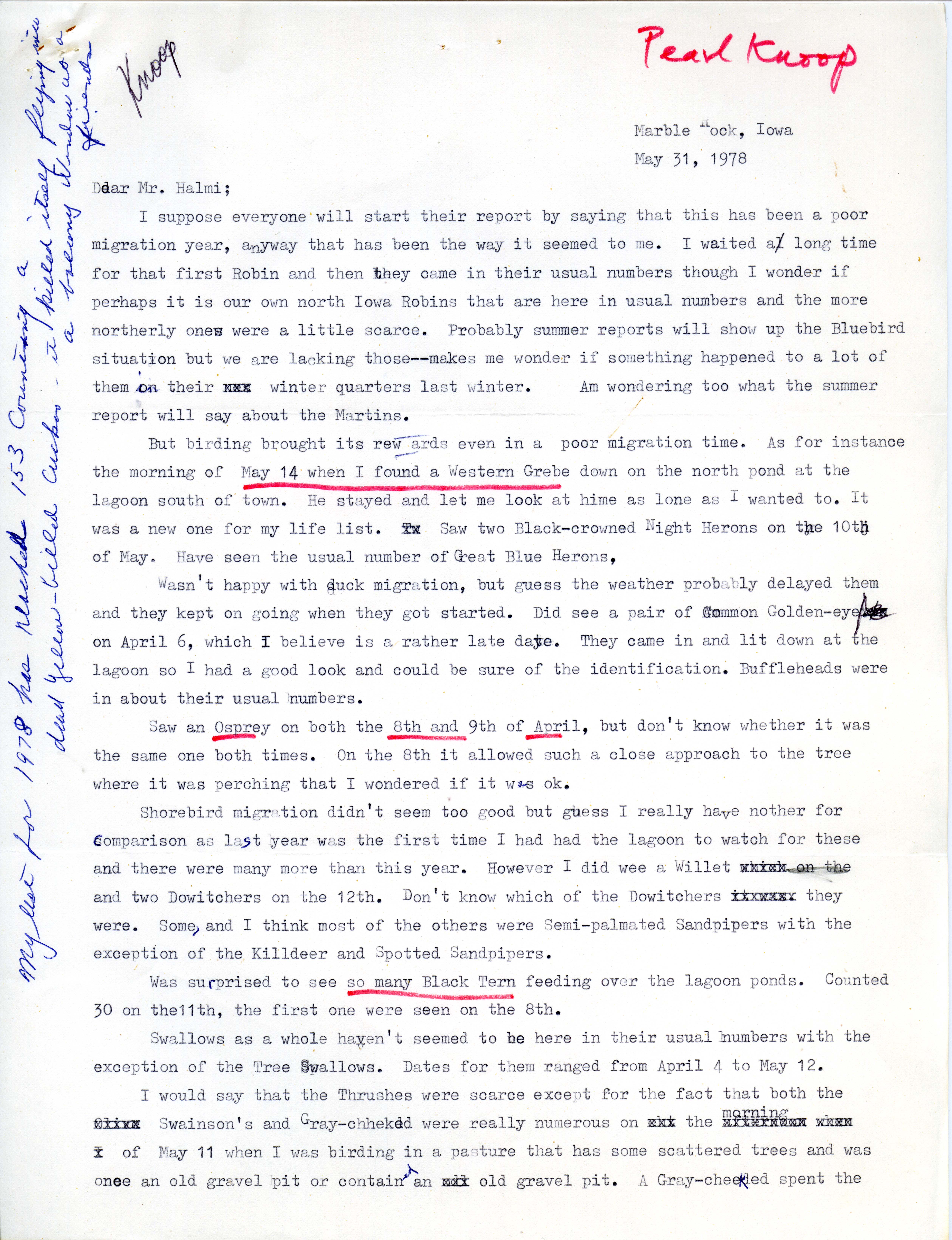 Pearl Knoop letter to Nicholas S. Halmi regarding bird sightings, May 31, 1978. 