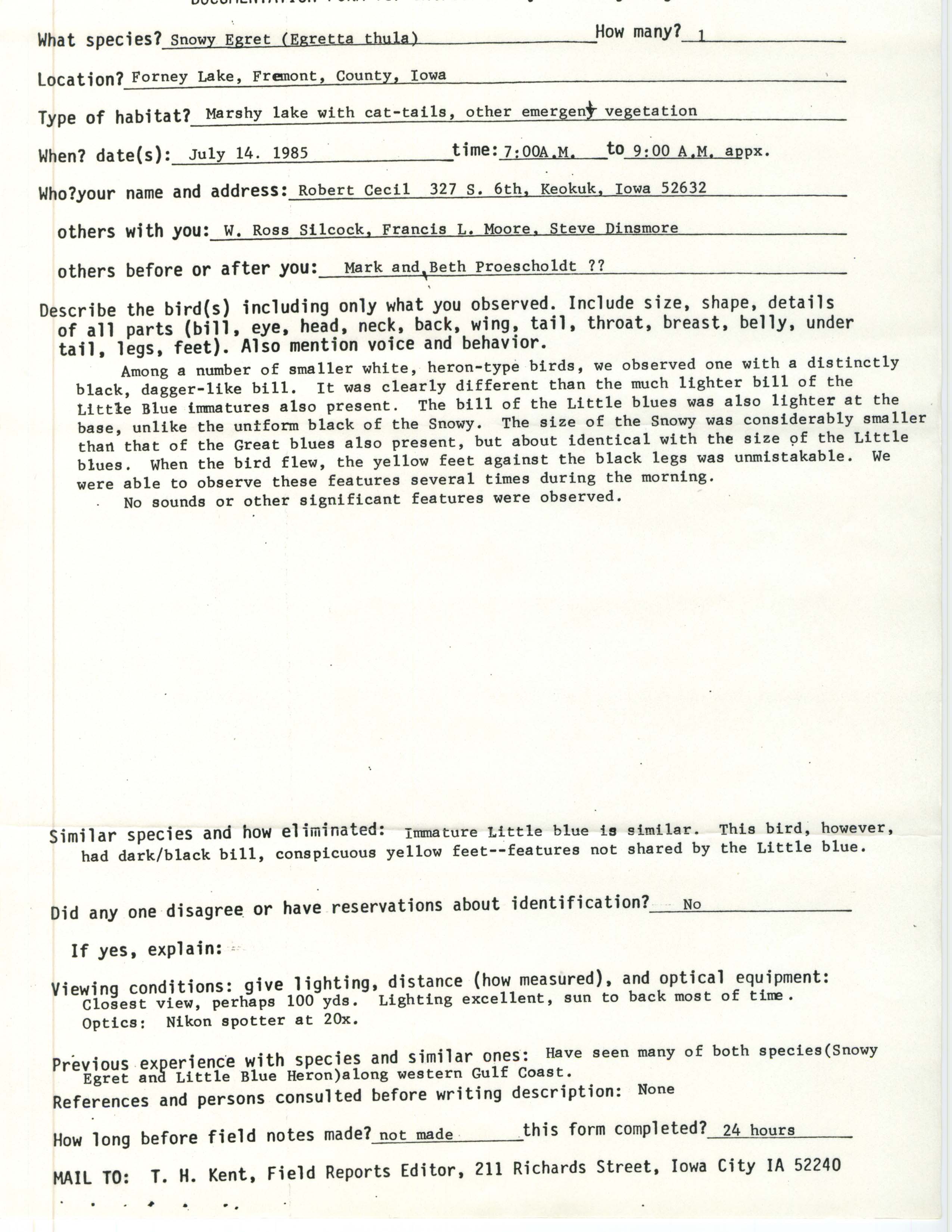 Rare bird documentation form for Snowy Egret at Forney Lake, 1985