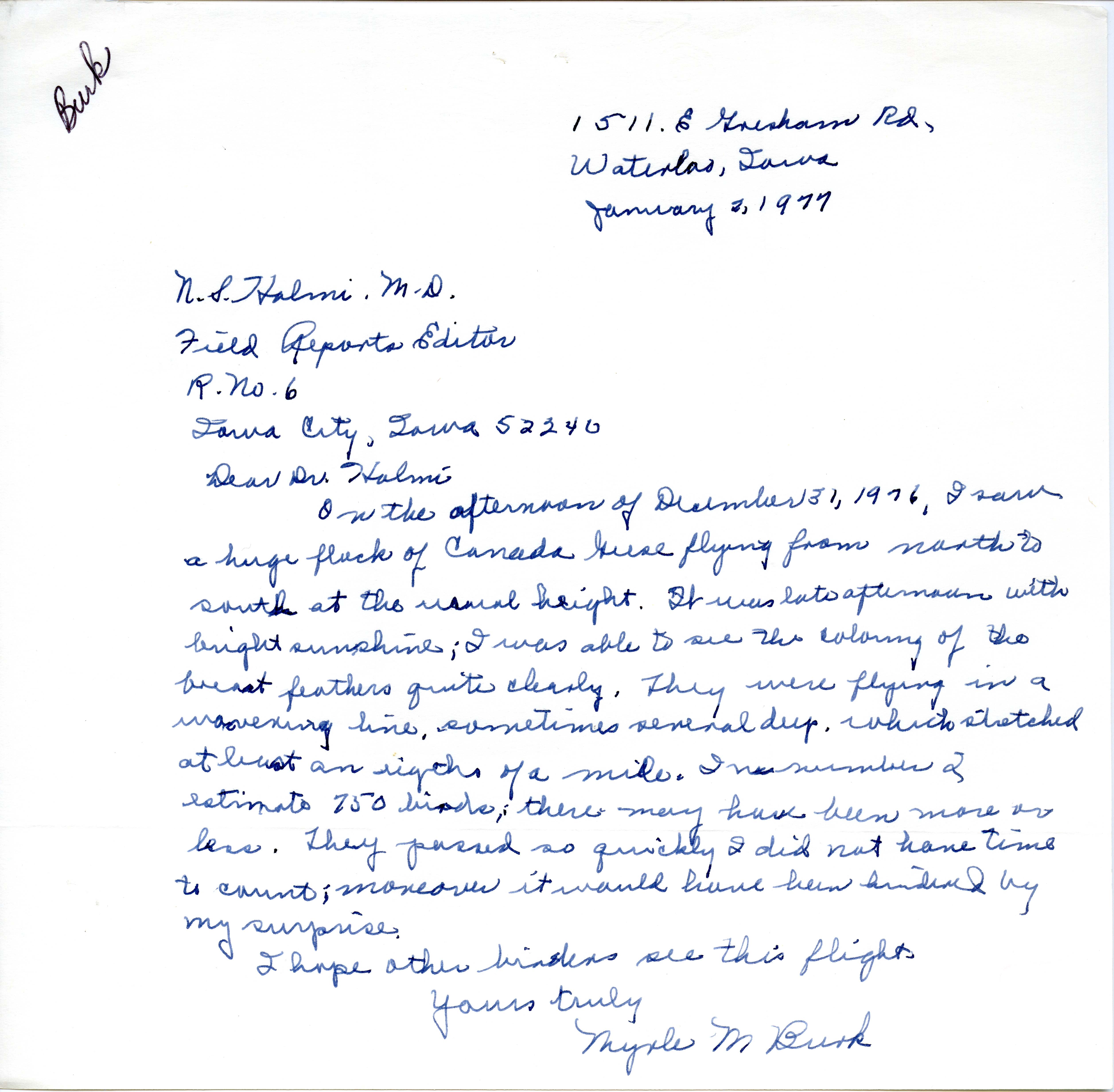 Myrle M. Burk letter to Nicholas S. Halmi regarding a sighting of a flock of Canada Geese in Waterloo, Iowa, January 2, 1977 