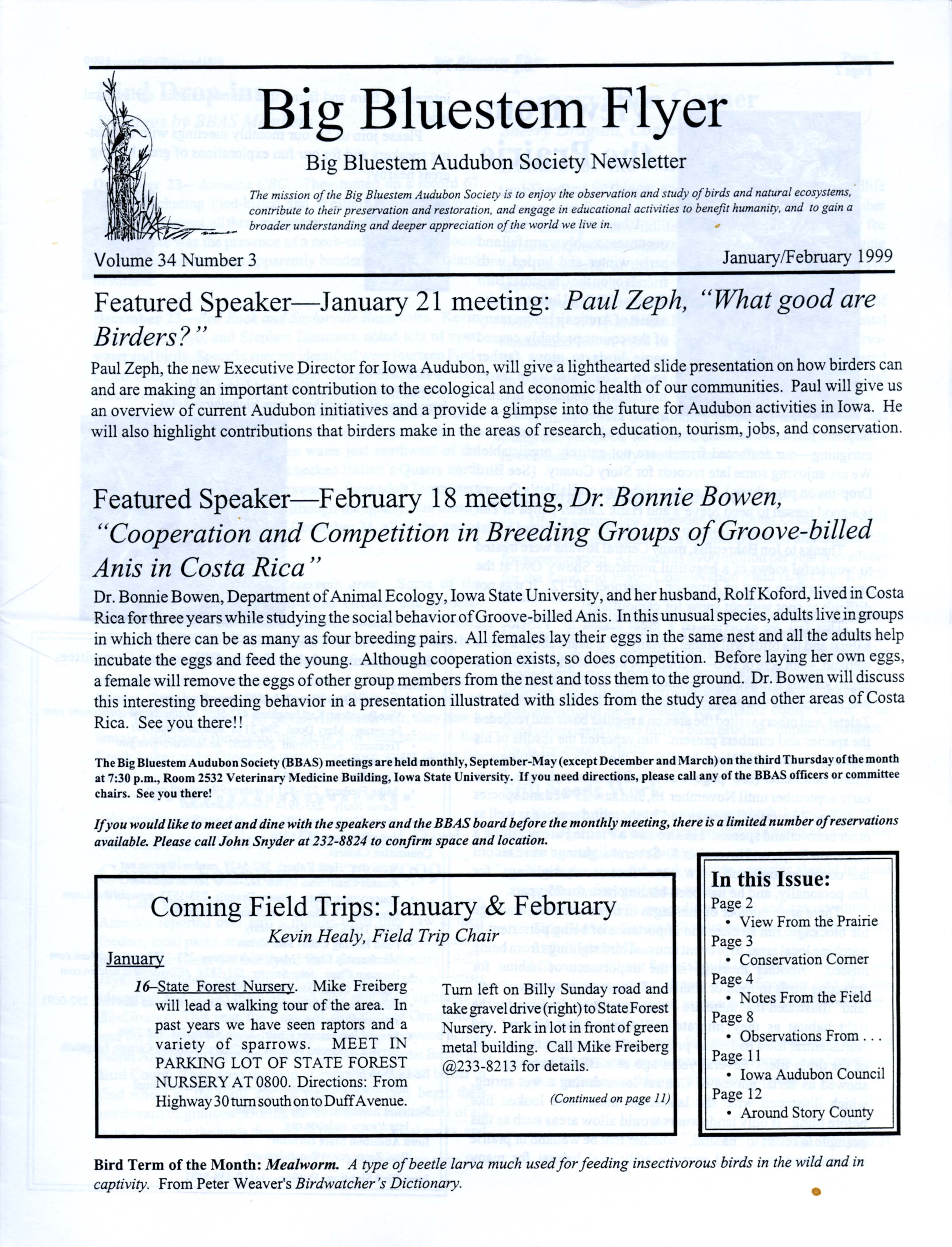 Big Bluestem Flyer, Volume 34, Number 3, January/February 1999