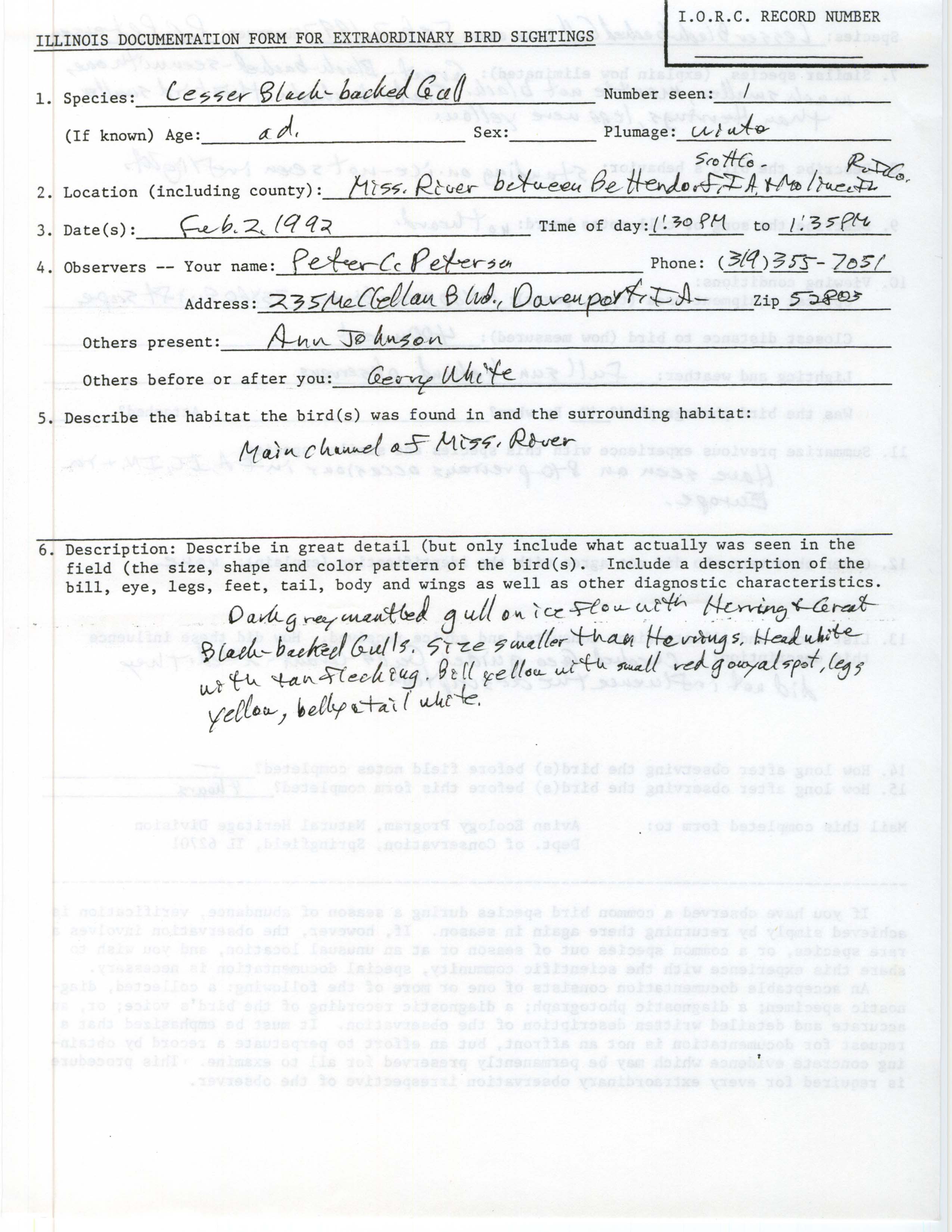 Rare bird documentation form for Lesser Black-backed Gull on the Mississippi River between Bettendorf, IA and Moline, IL, 1992