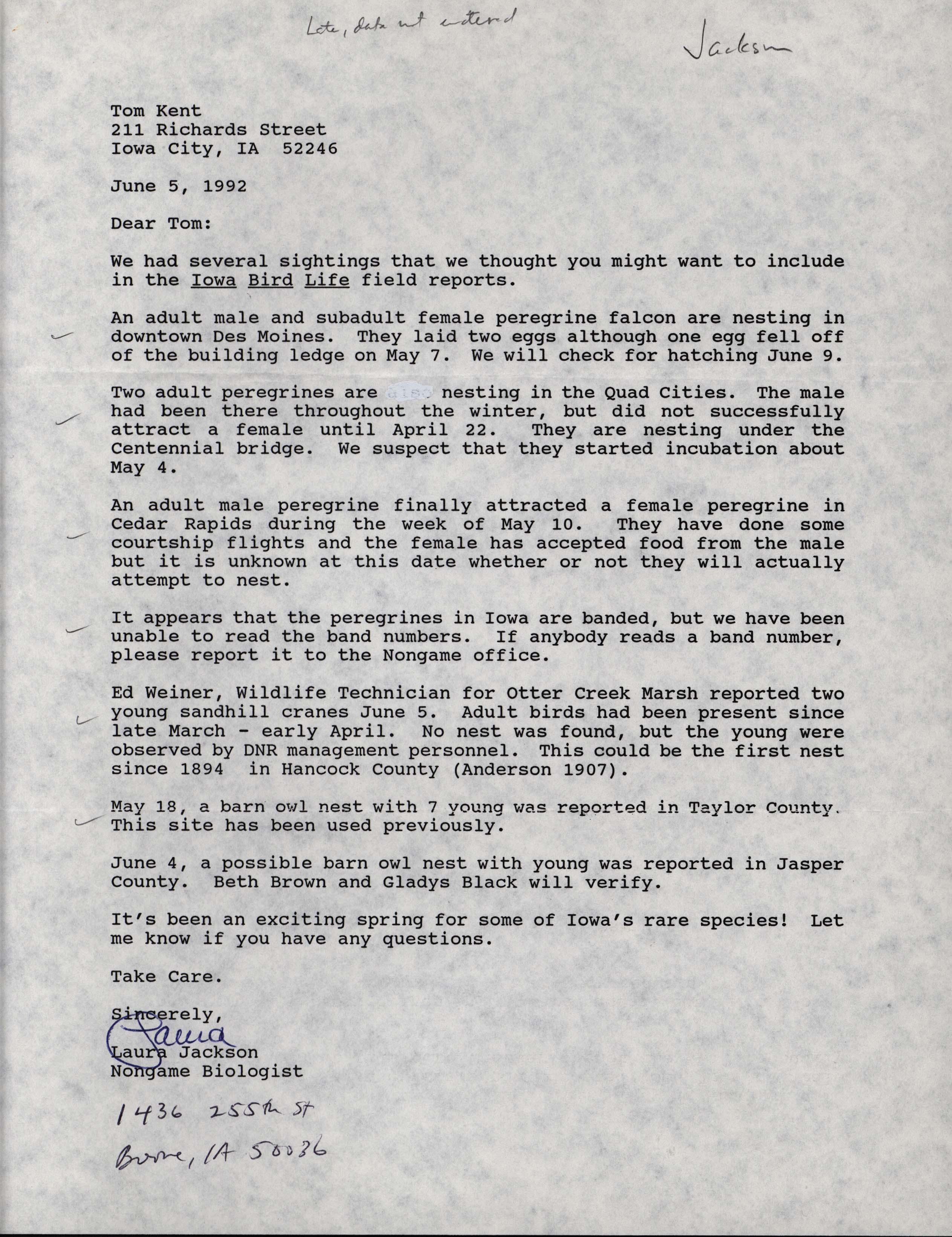 Laura Spess Jackson letter to Thomas H. Kent regarding bird sightings, June 5, 1992