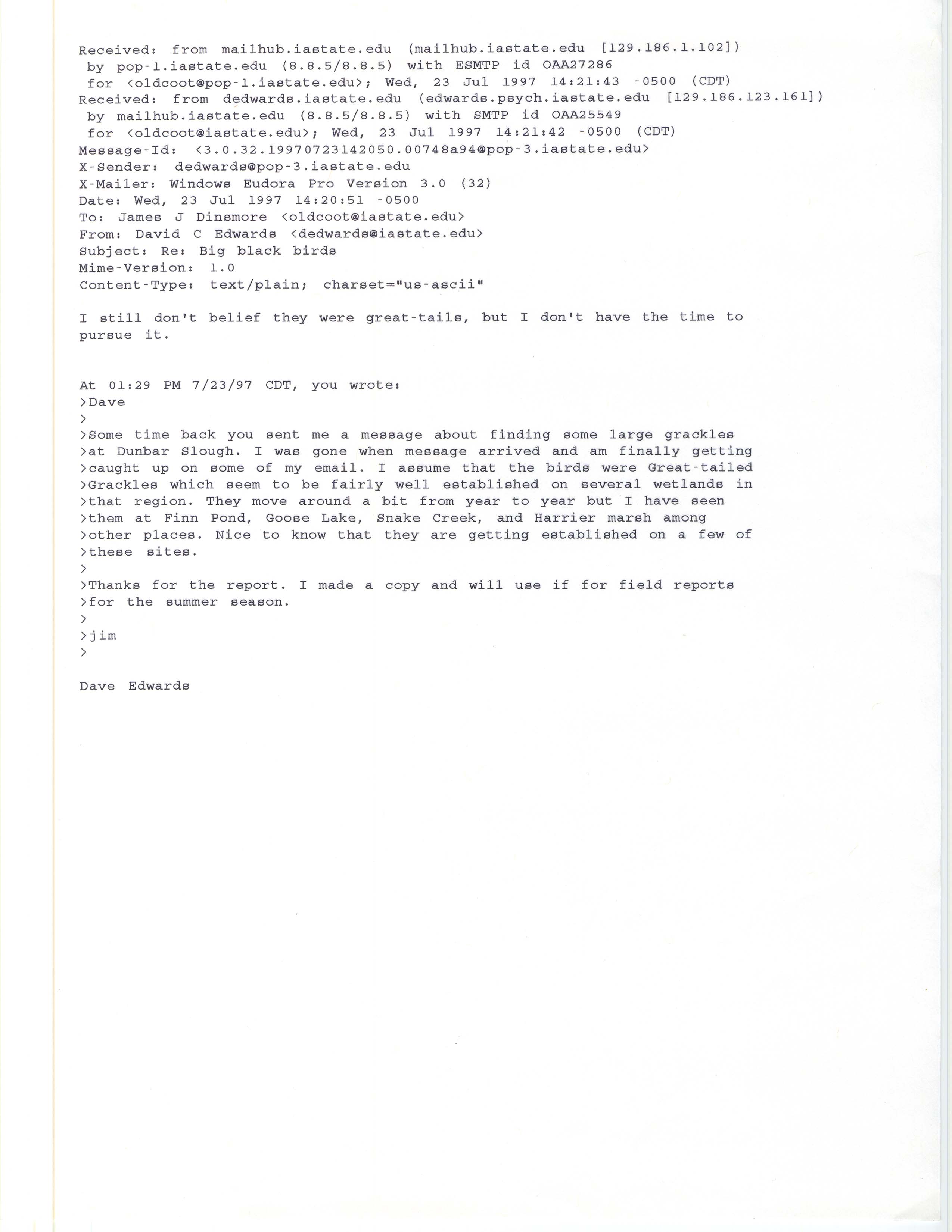 David C. Edwards email response to James J. Dinsmore regarding a possible Great-tailed Grackle sighting, July 23, 1997 