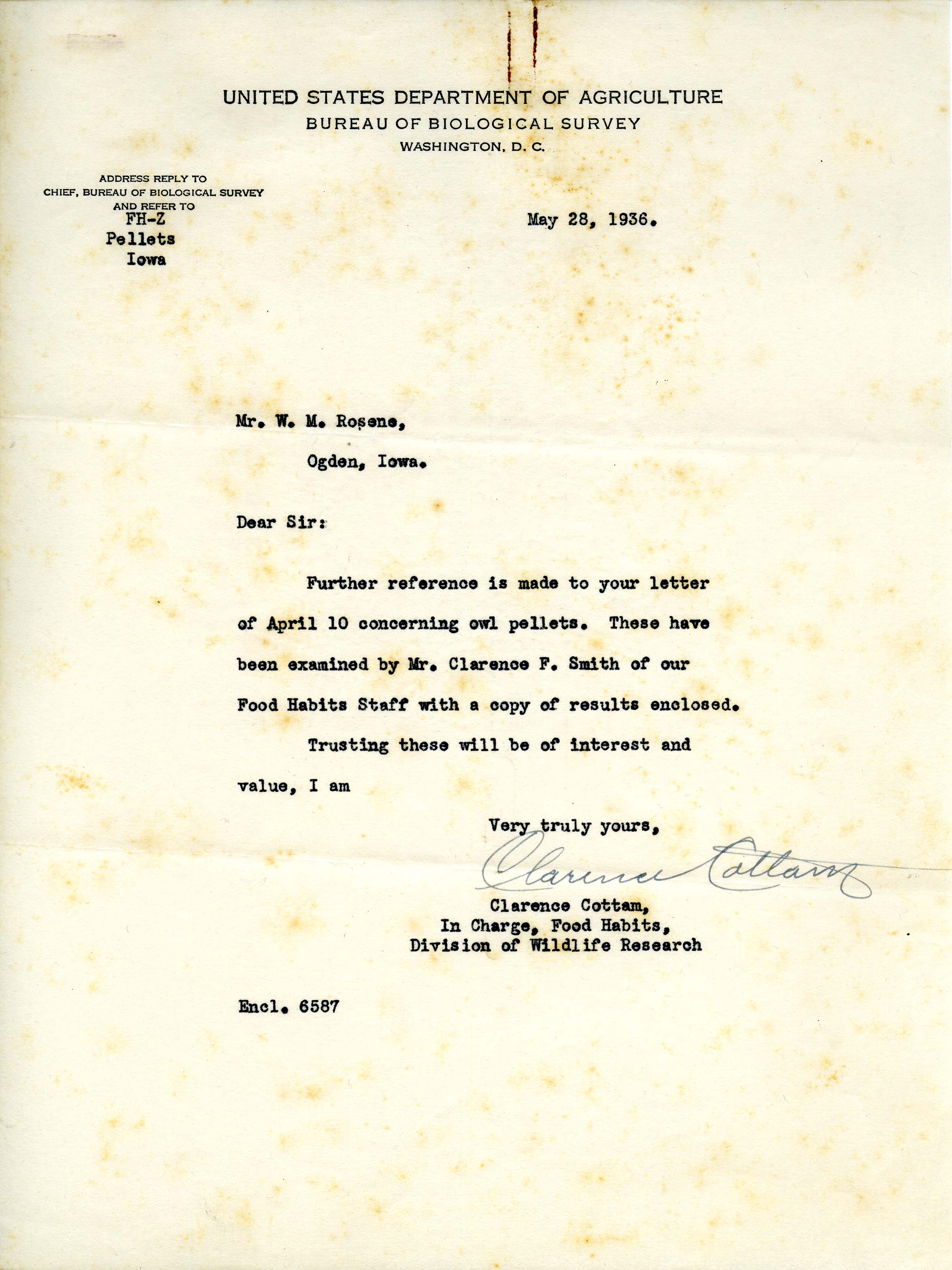 Clarence Cottam letter to Walter Rosene regarding the analysis and contents of Long-eared Owl pellets, May 28, 1936