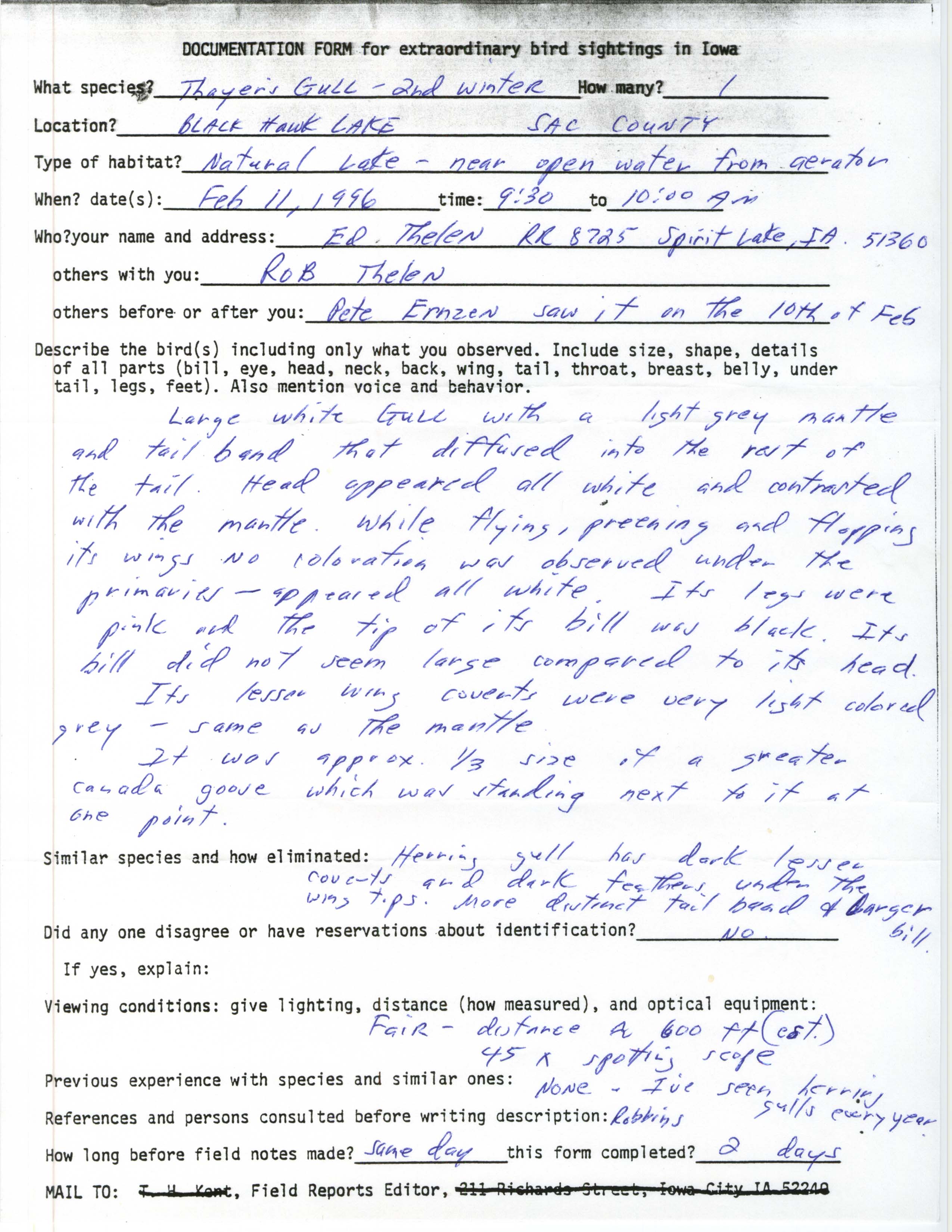 Rare bird documentation form for Thayer's Gull at Black Hawk Lake, 1996