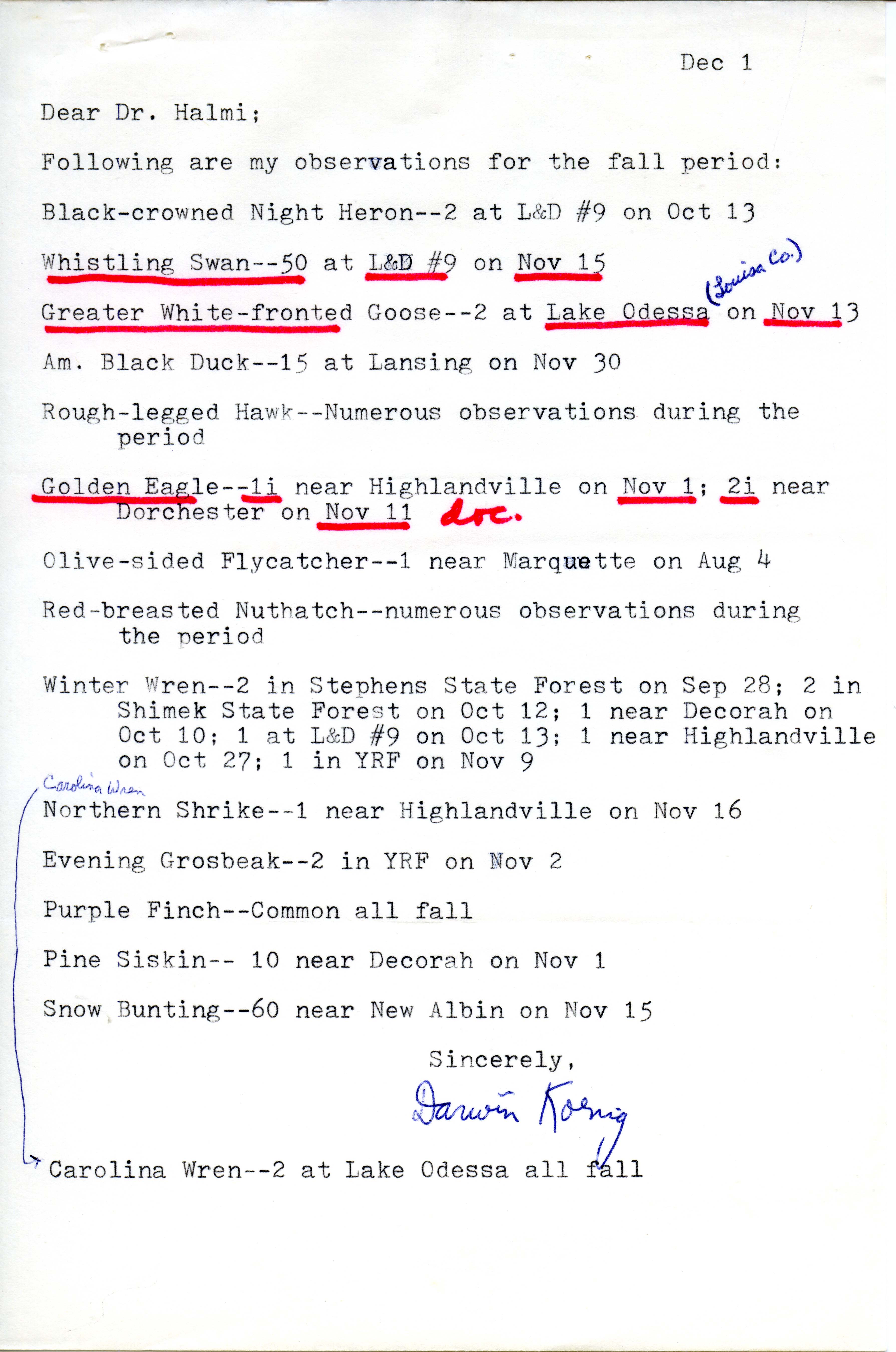 Darwin Koenig letter to Nicholas S. Halmi regarding bird sightings, December 1, 1978