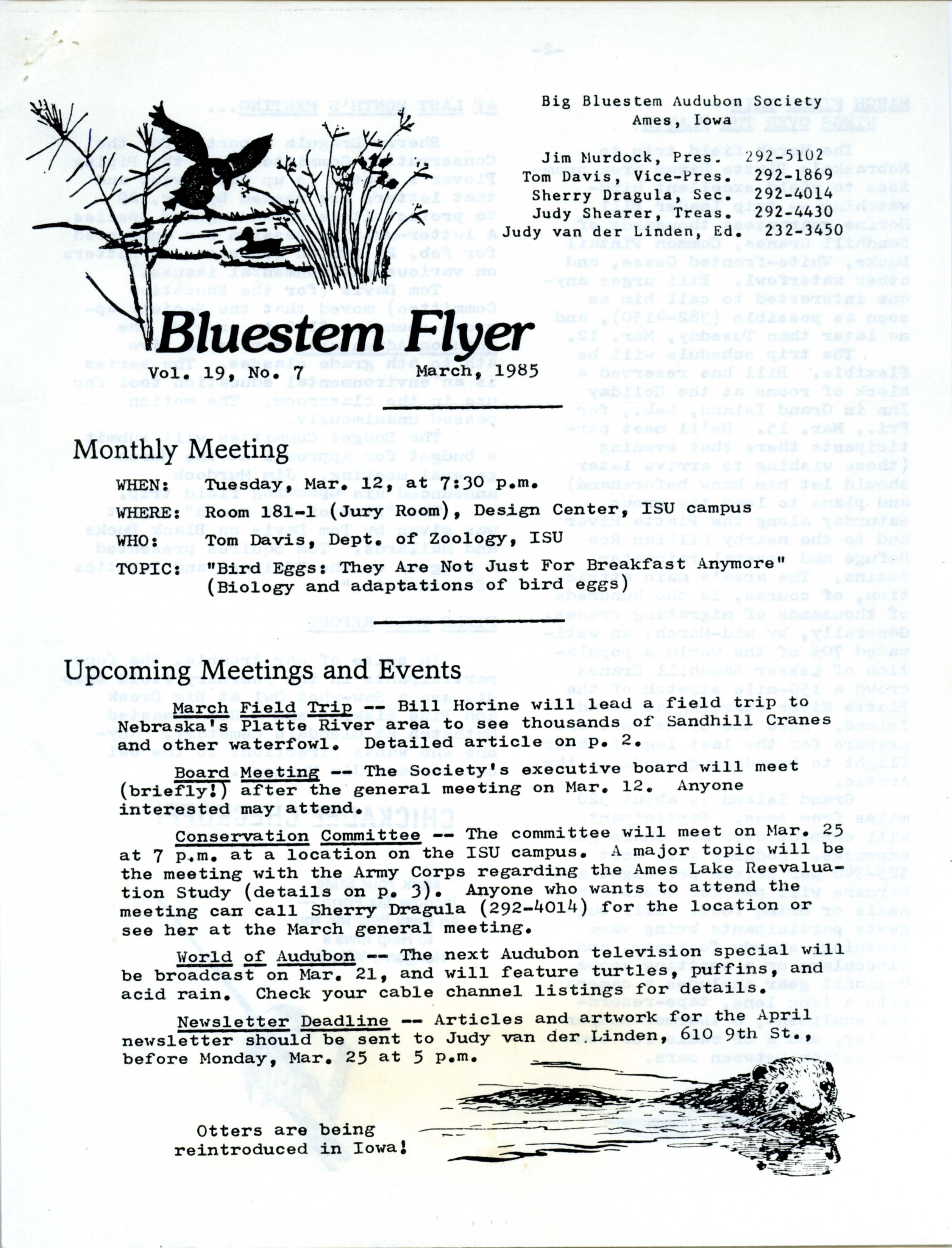 Bluestem Flyer, Volume 19, Number 7, March 1985
