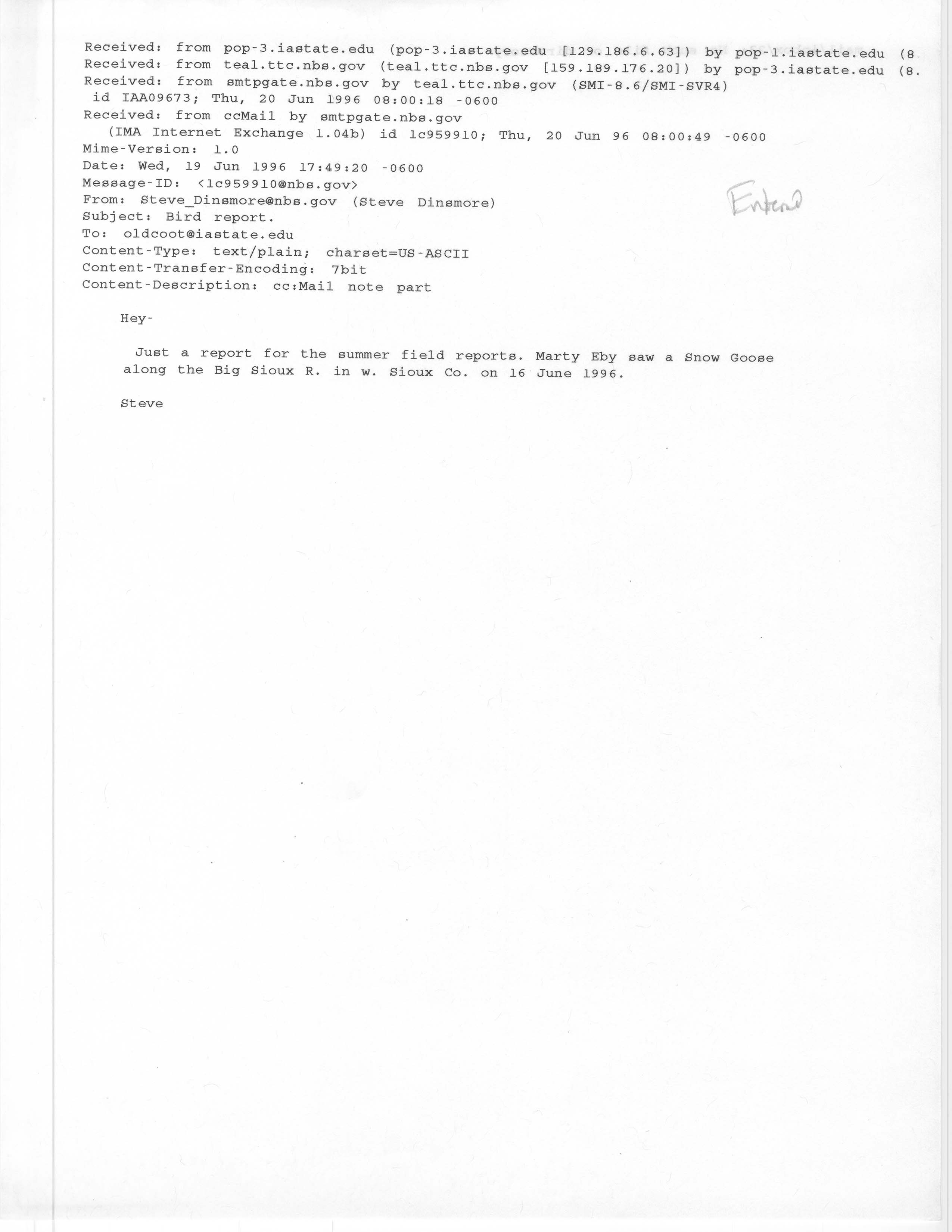 Stephen J. Dinsmore email to James J. Dinsmore regarding a Snow Goose sighting, June 19, 1996