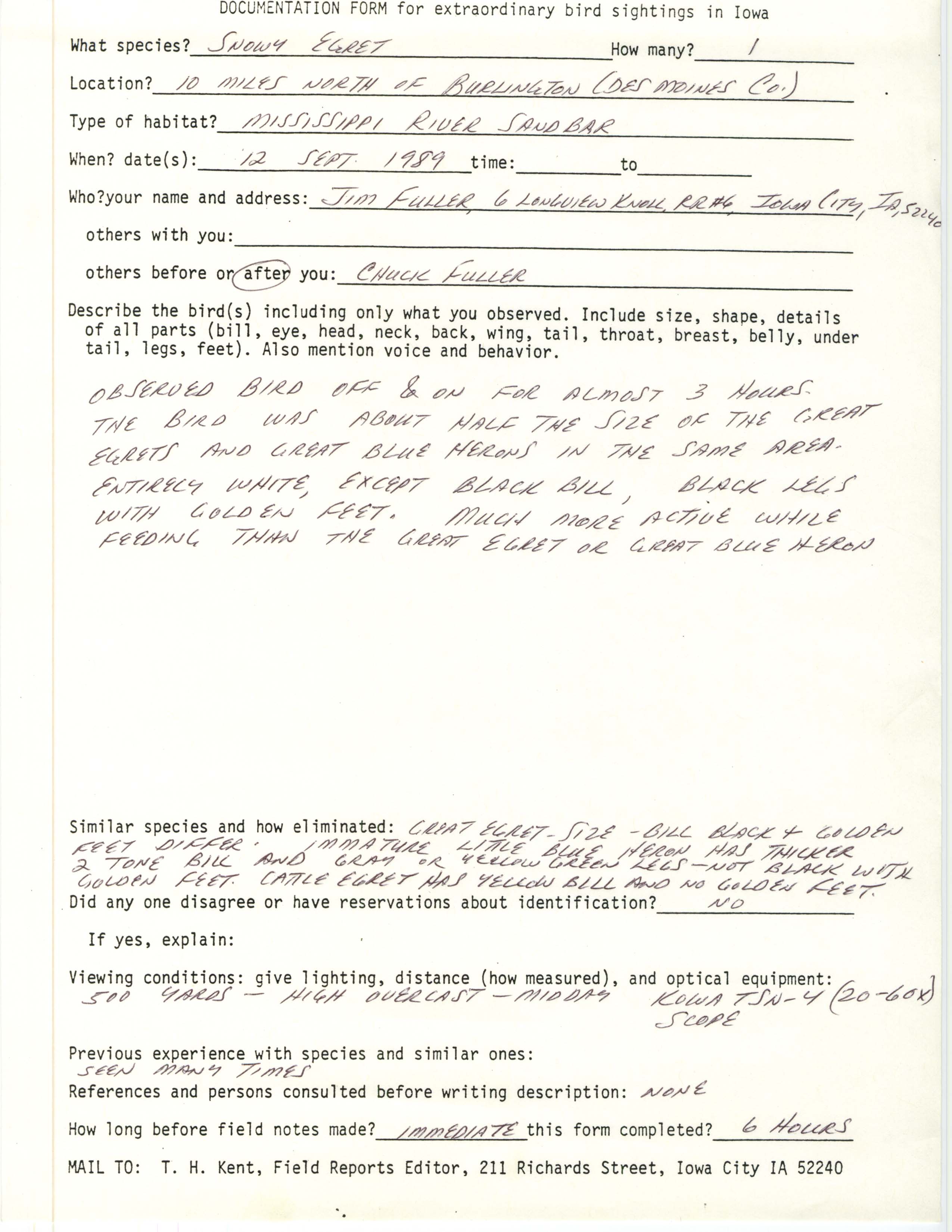 Rare bird documentation form for Snowy Egret ten miles north of Burlington, 1989