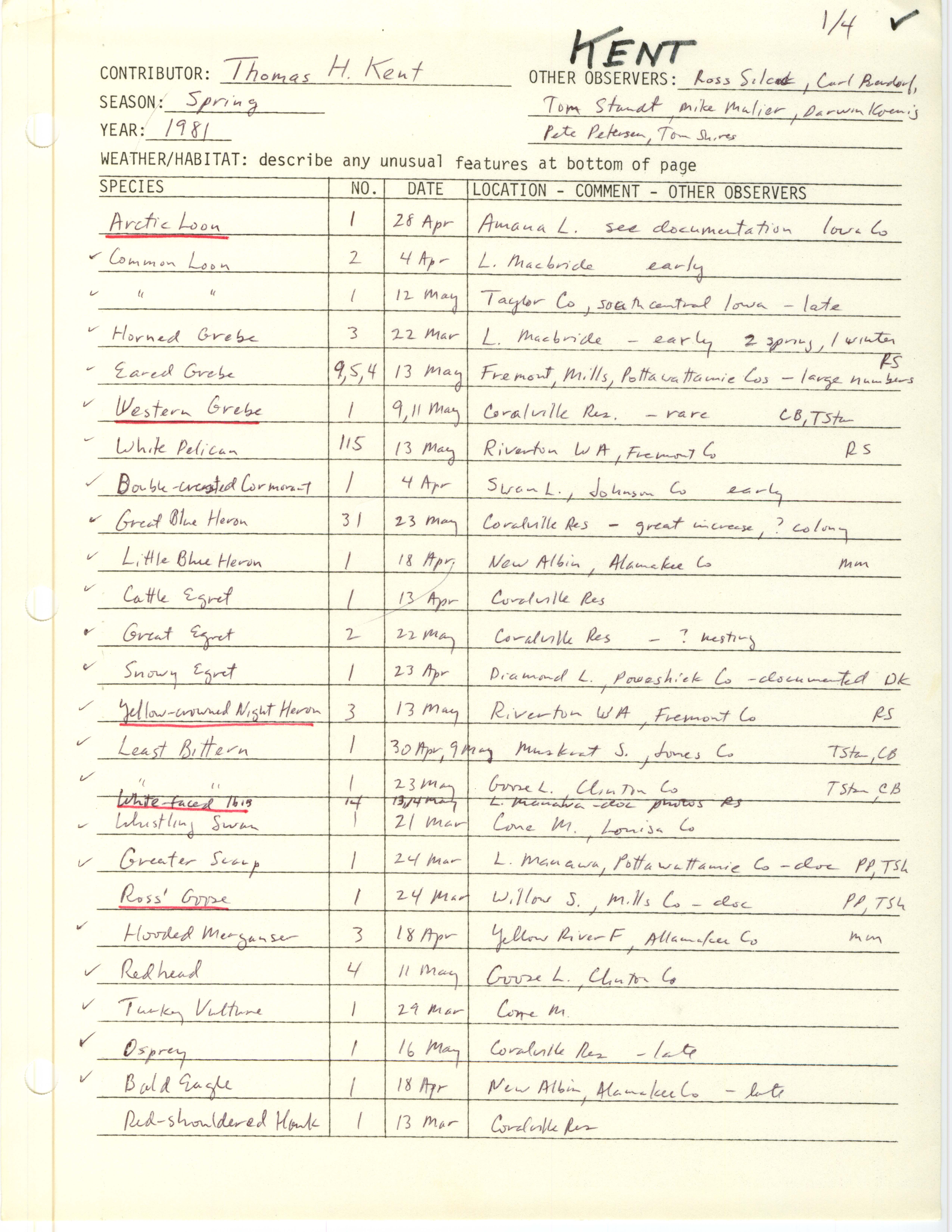 Annotated bird sighting list for spring 1981 compiled by Thomas Kent
