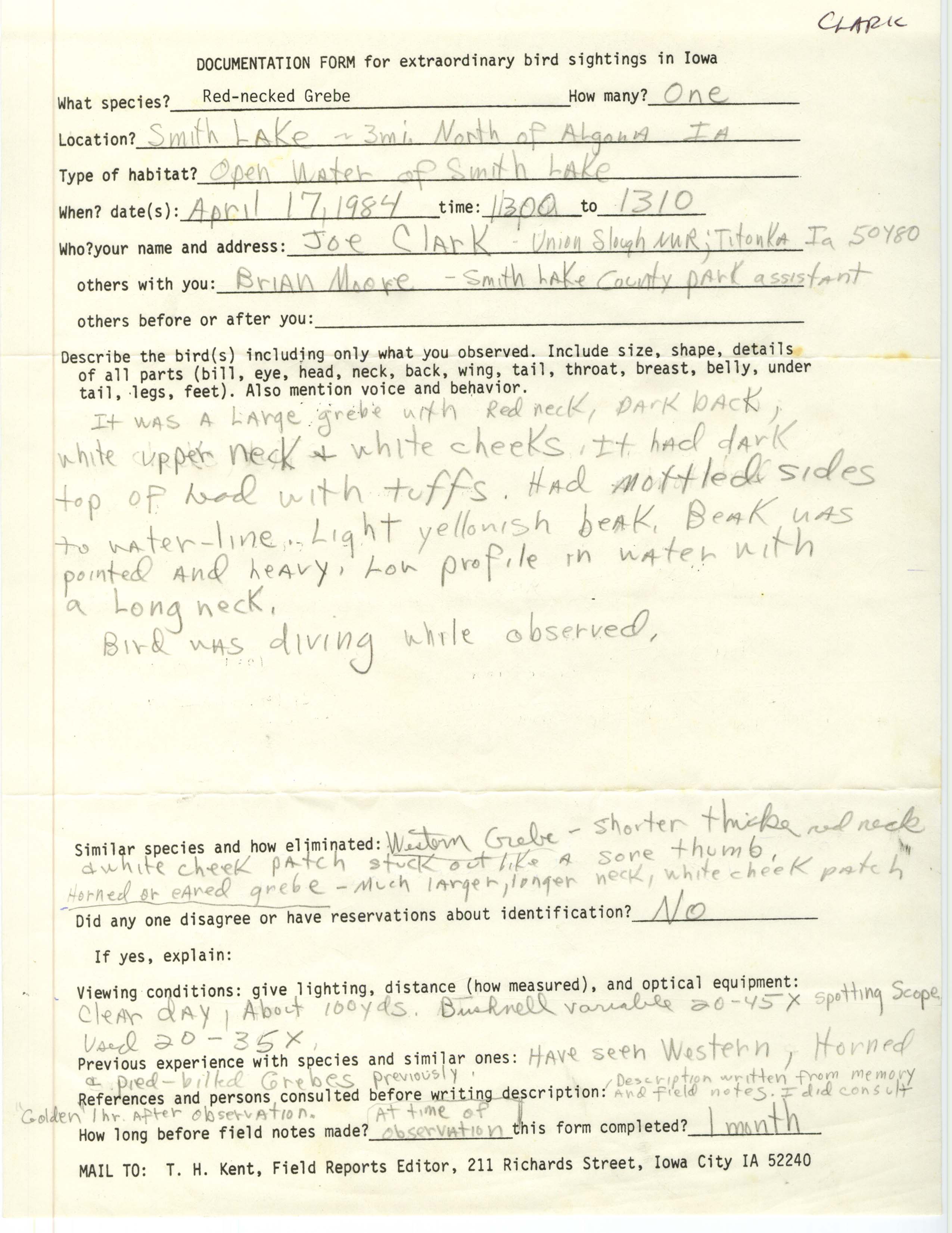 Rare bird documentation form for Red-necked Grebe at Smith Lake, 1984
