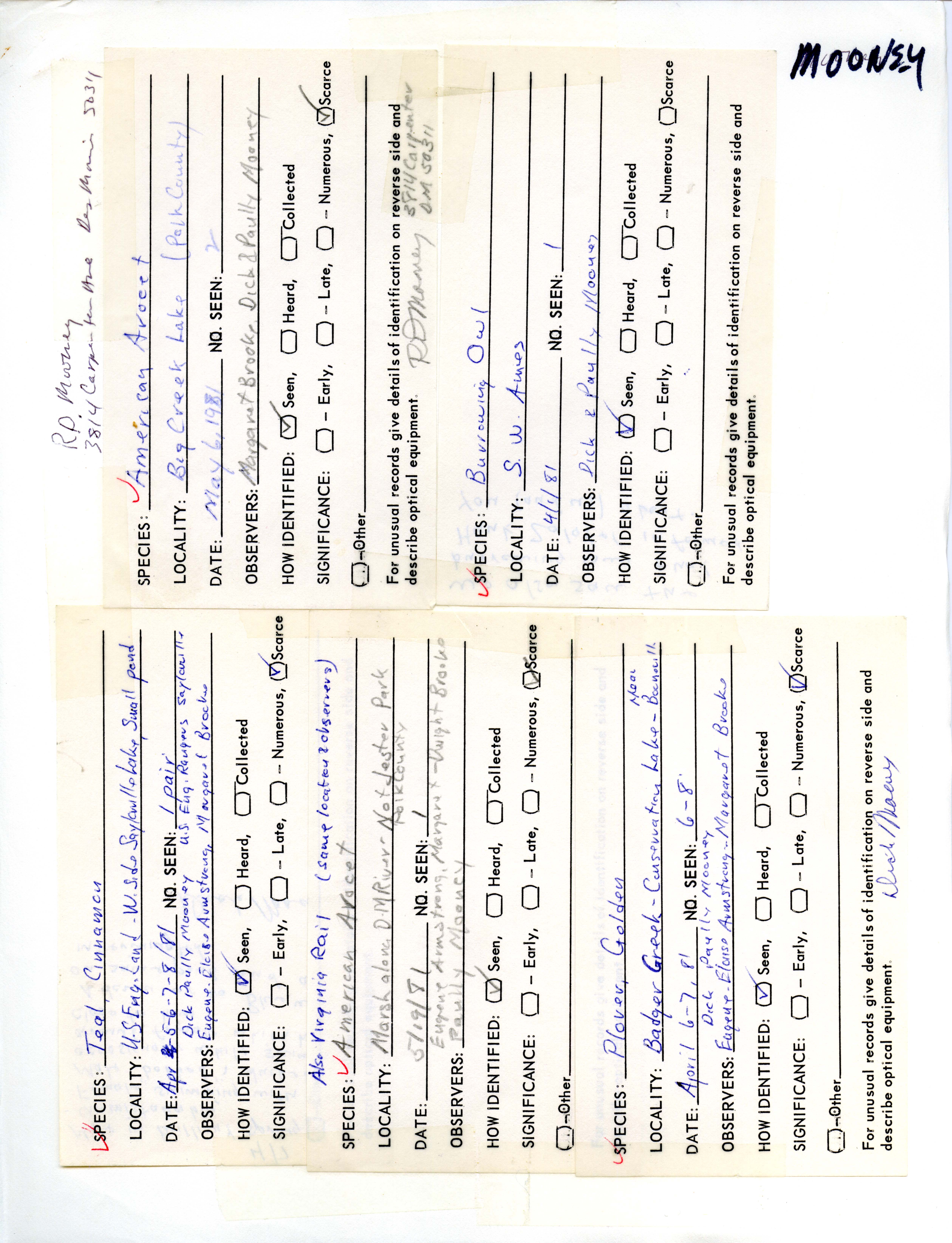 Bird sighting forms submitted by R.D. Mooney, spring 1981