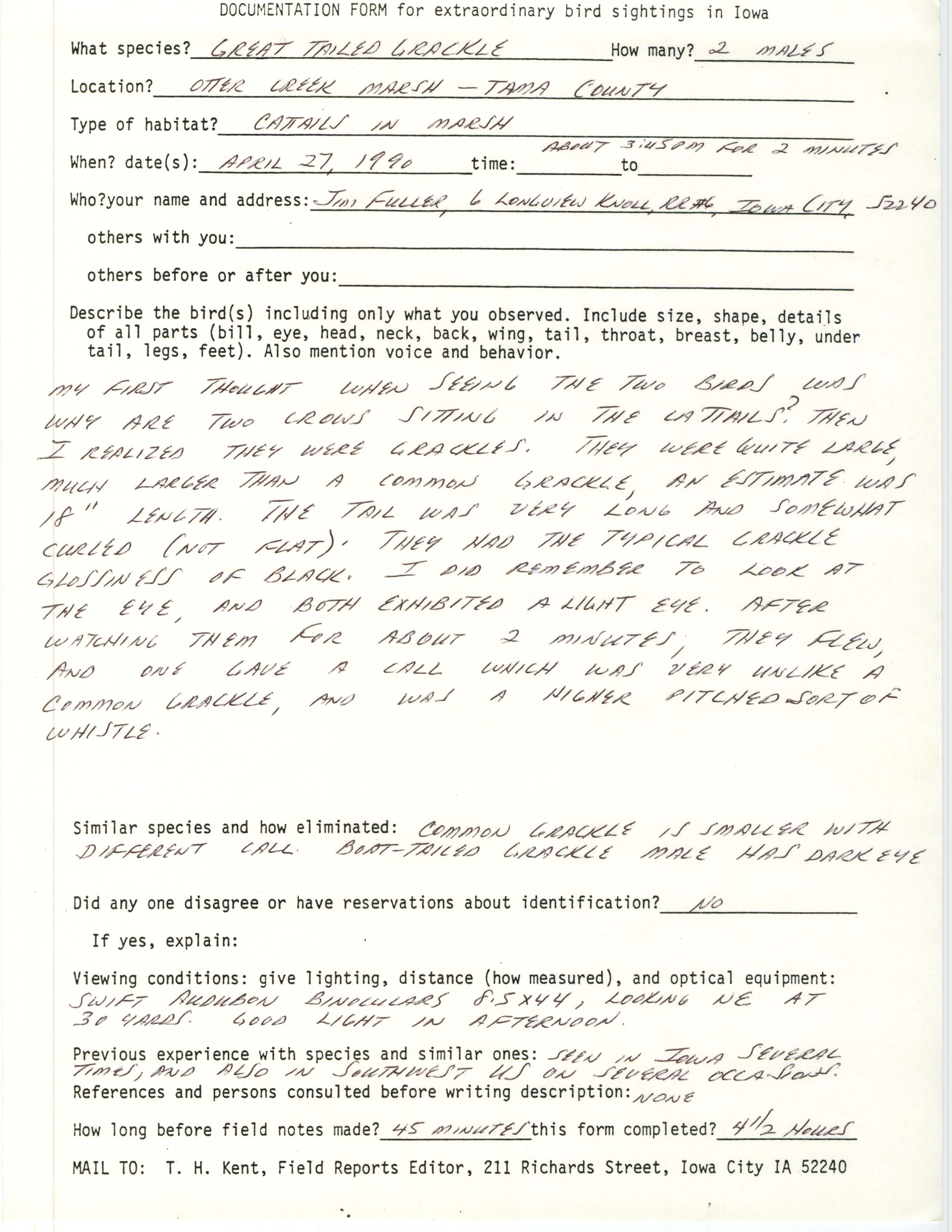 Rare bird documentation form for Great-tailed Grackle at Otter Creek Marsh, 1990