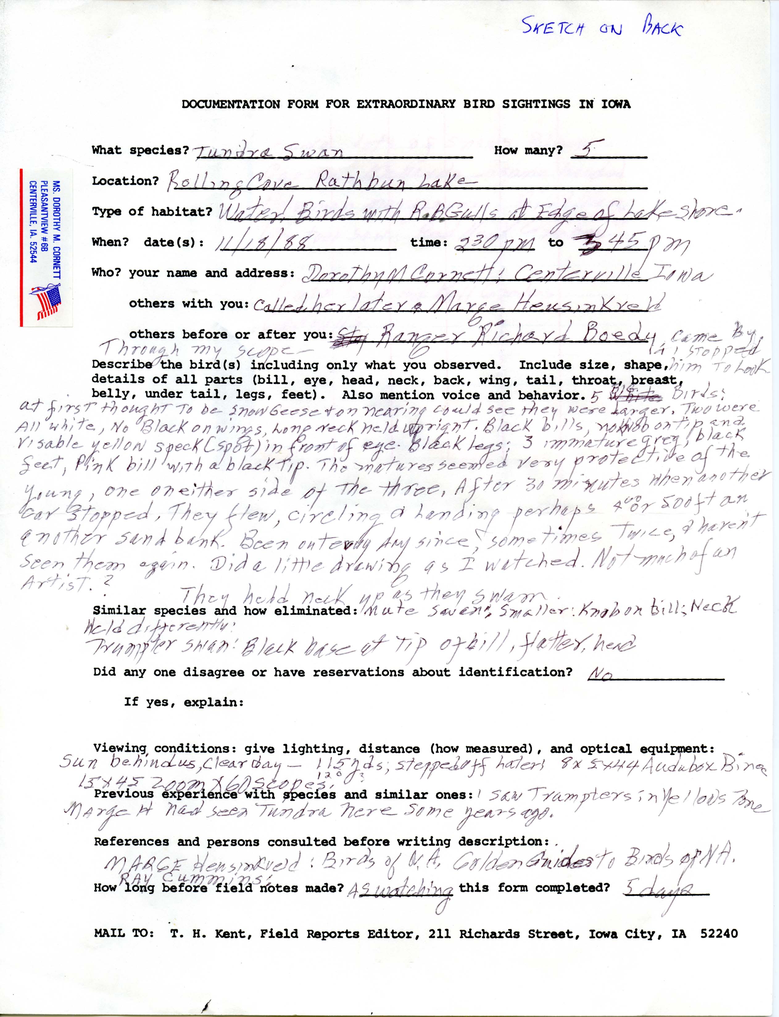 Rare bird documentation form for Tundra Swan at Rathbun Lake, 1988