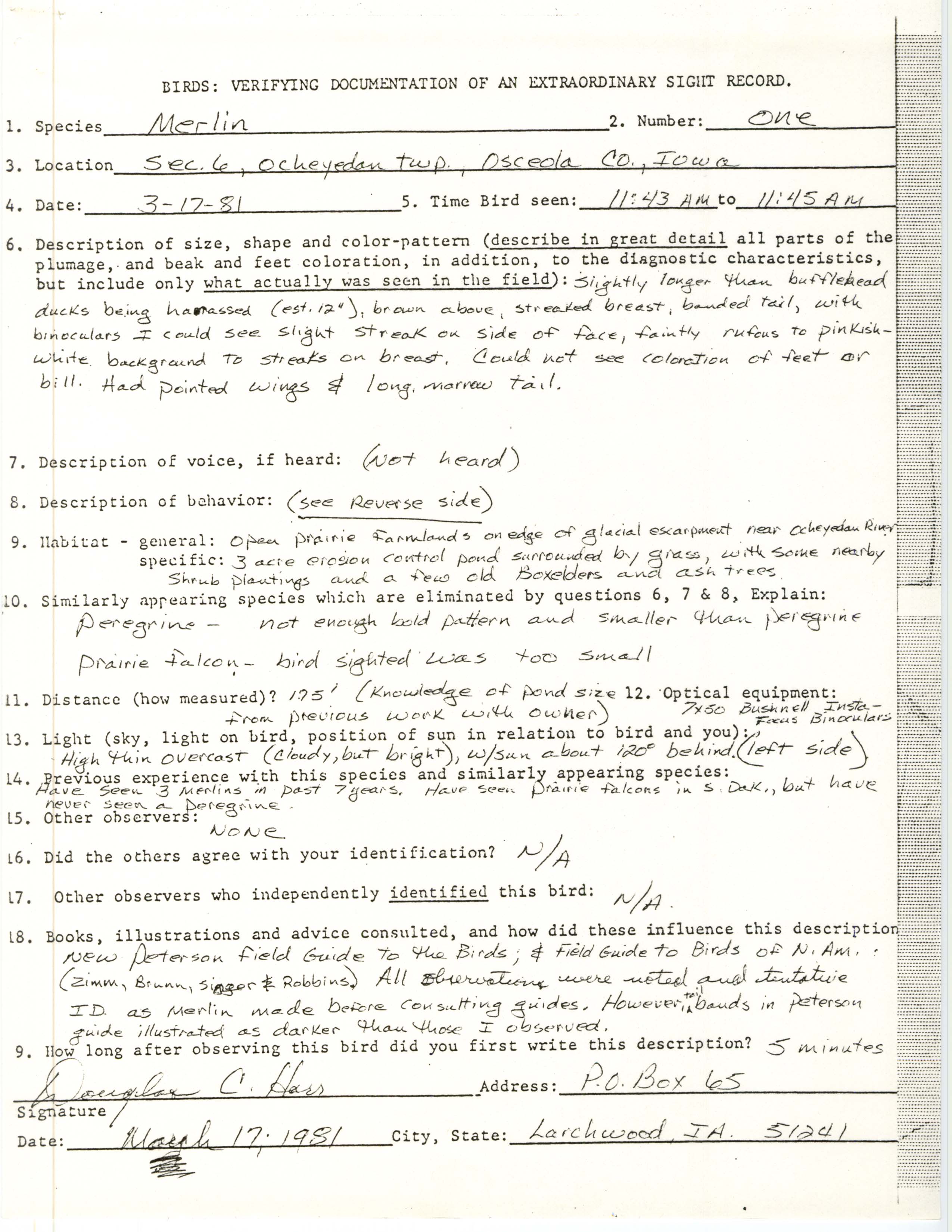 Rare bird documentation form for Merlin at Ocheyedan Township, 1981